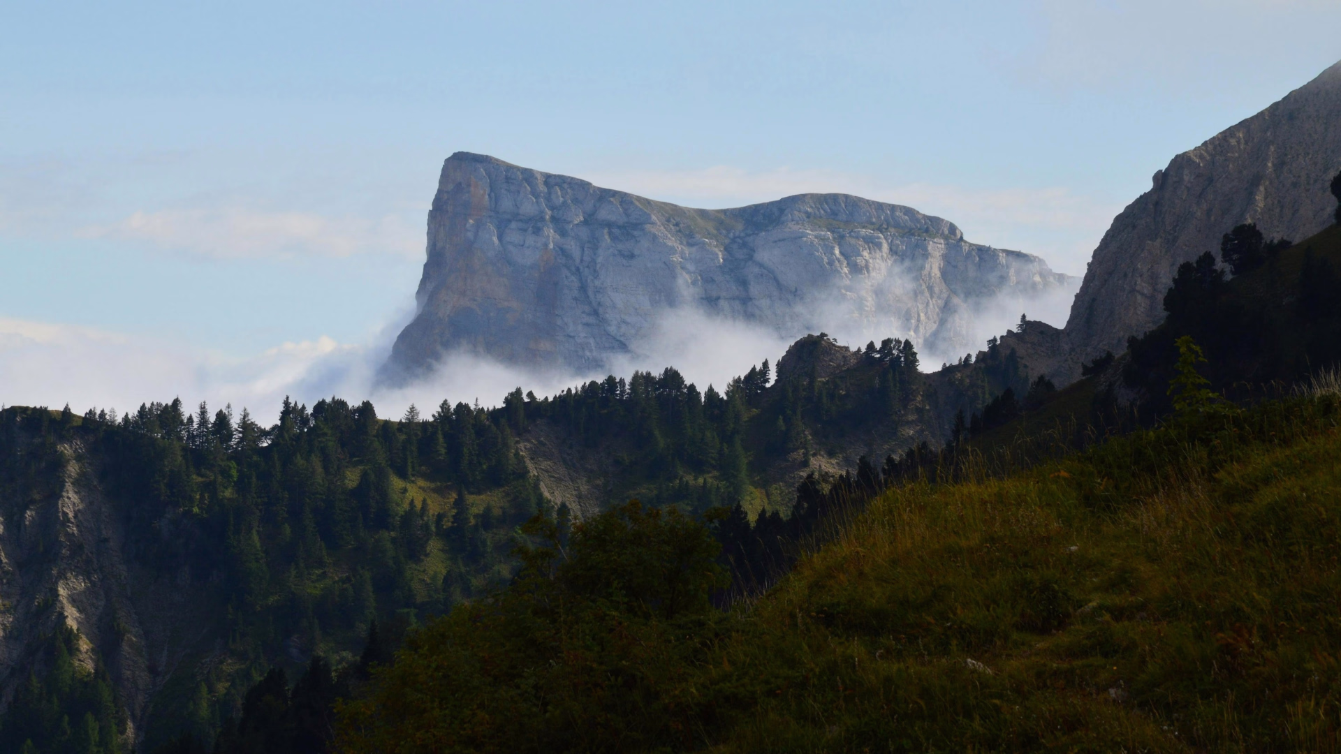 Stage survie de 3 jours dans les forêts du Vercors