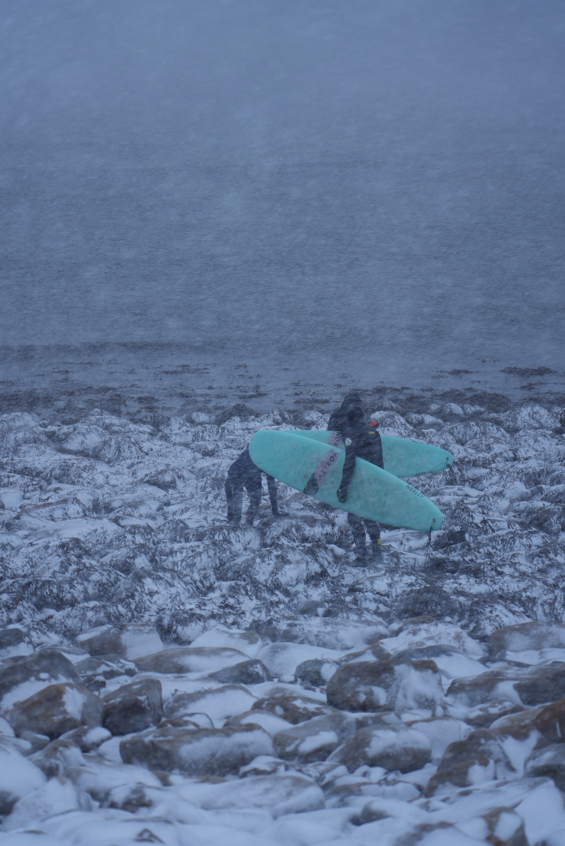 Expédition en terre arctique - chiens de traîneau et bivouac