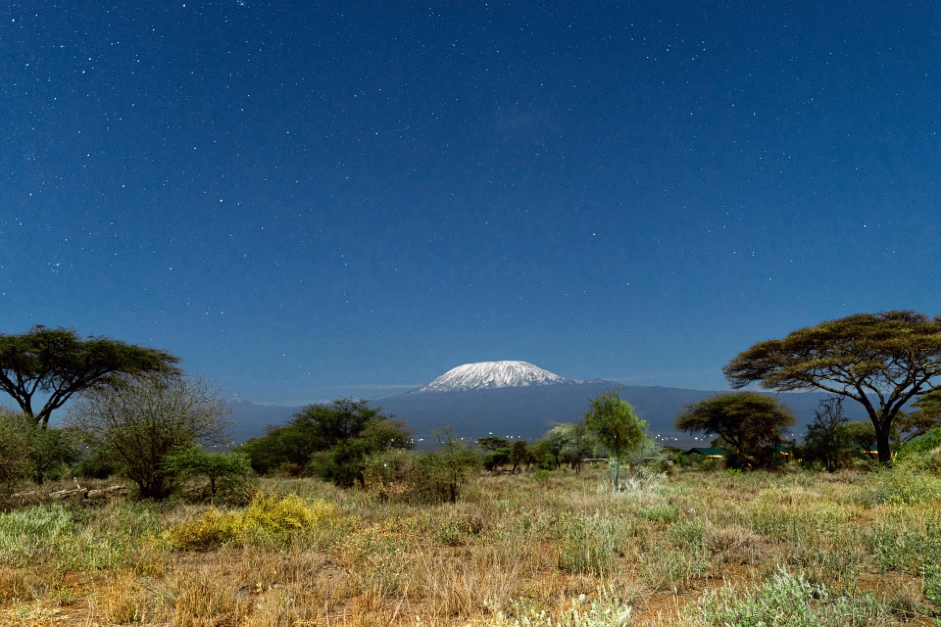 Nos trek au Kilimandjaro