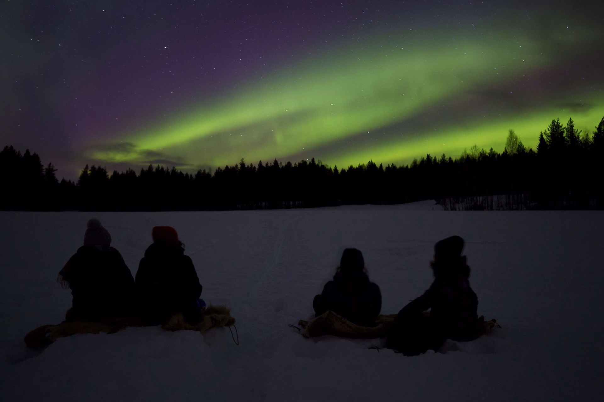 Séjour équestre et multi-activités hivernal en Laponie suédoise