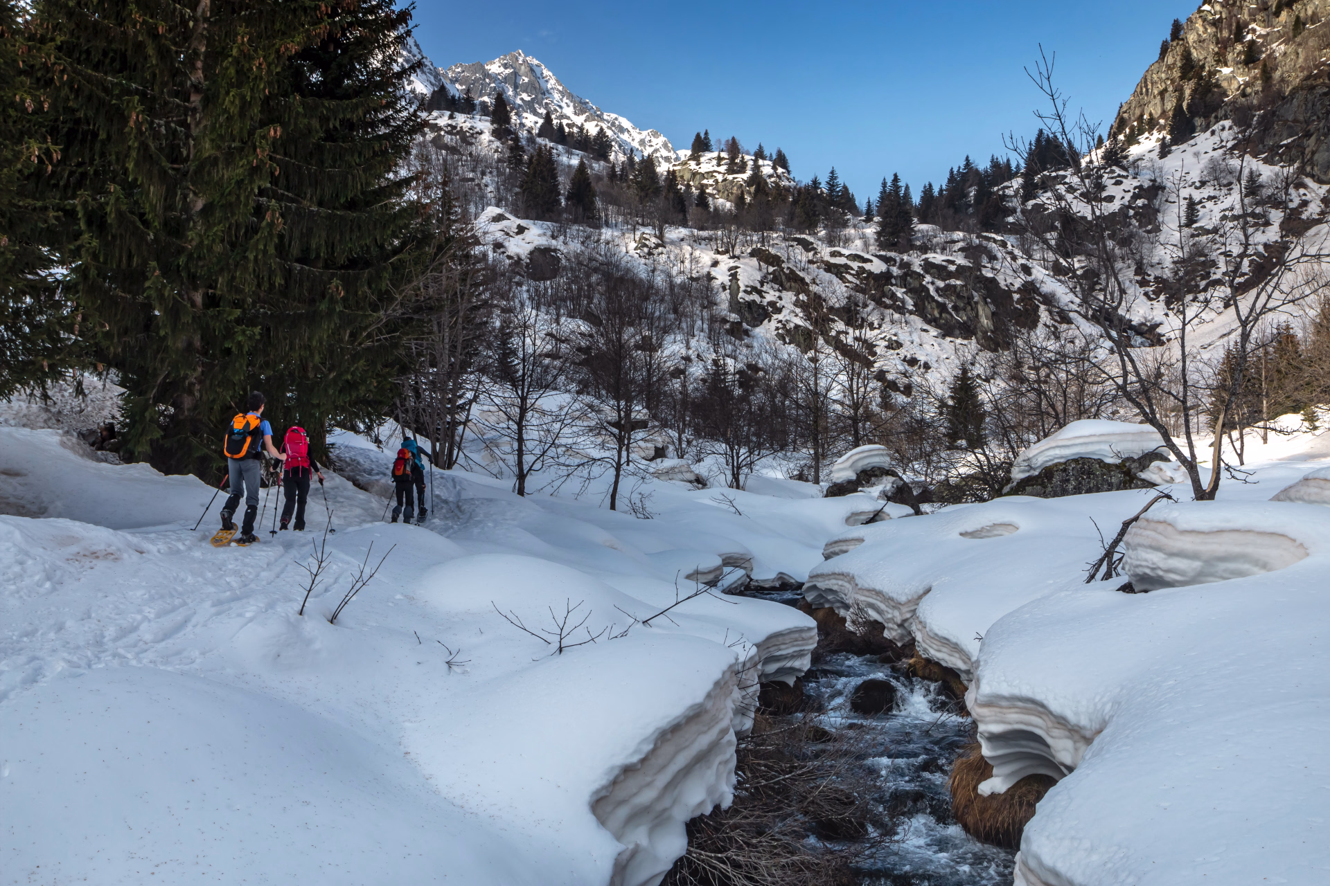 Réveillon Dauphinois et Raquettes en Belledonne