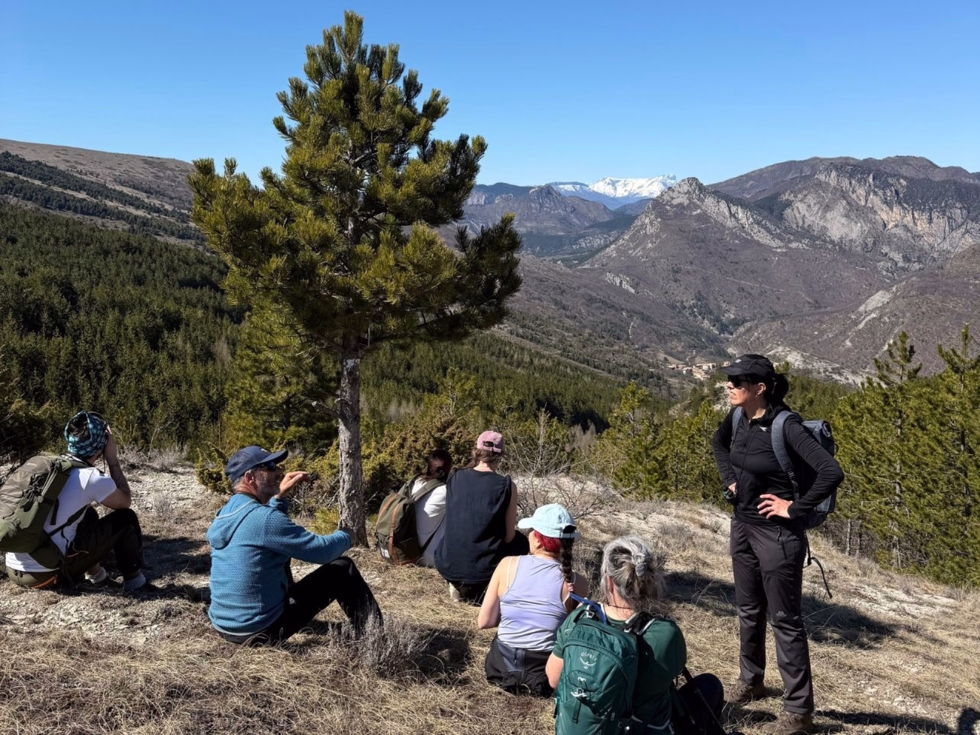Une aventure sur les traces des loups dans les Alpes