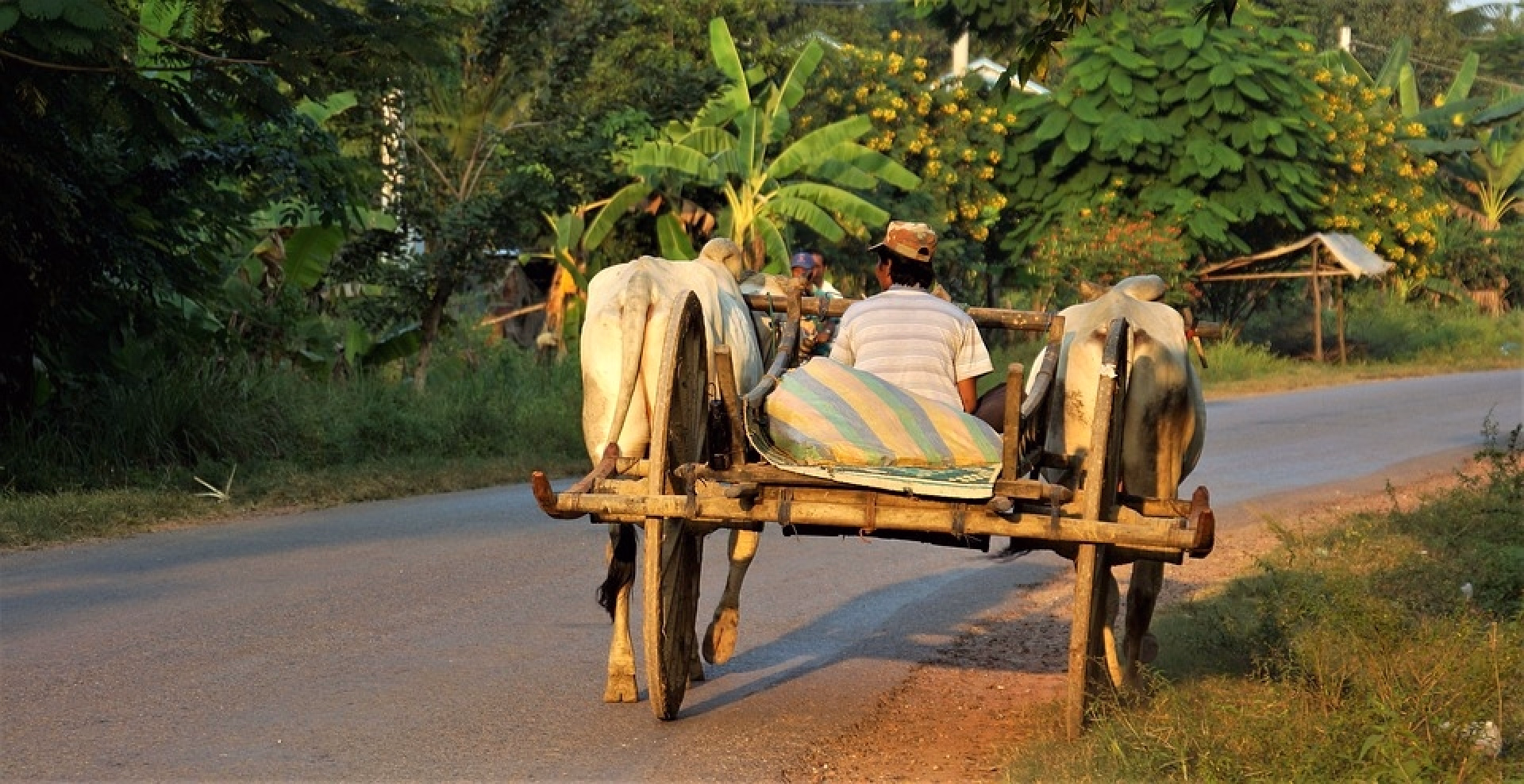 Exploration à pied des merveilles khmères de Siem Reap