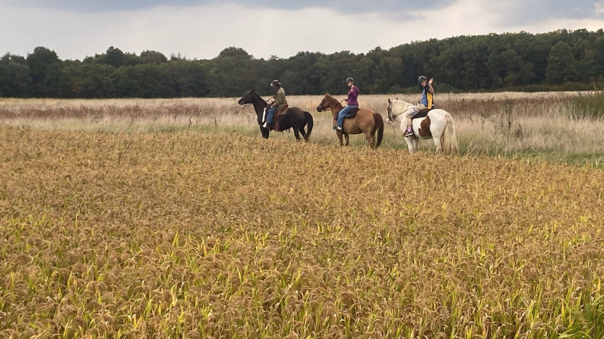 Randonnée à cheval de 2 jours avec Bivouac Royal