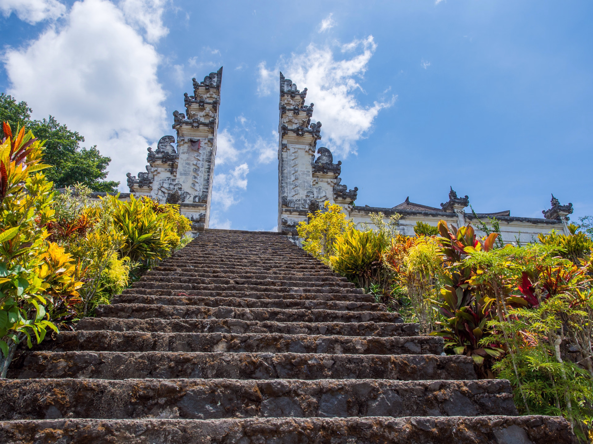 Voyageur solo : Safari plongée & circuit terrestre à Bali - 12 nuits