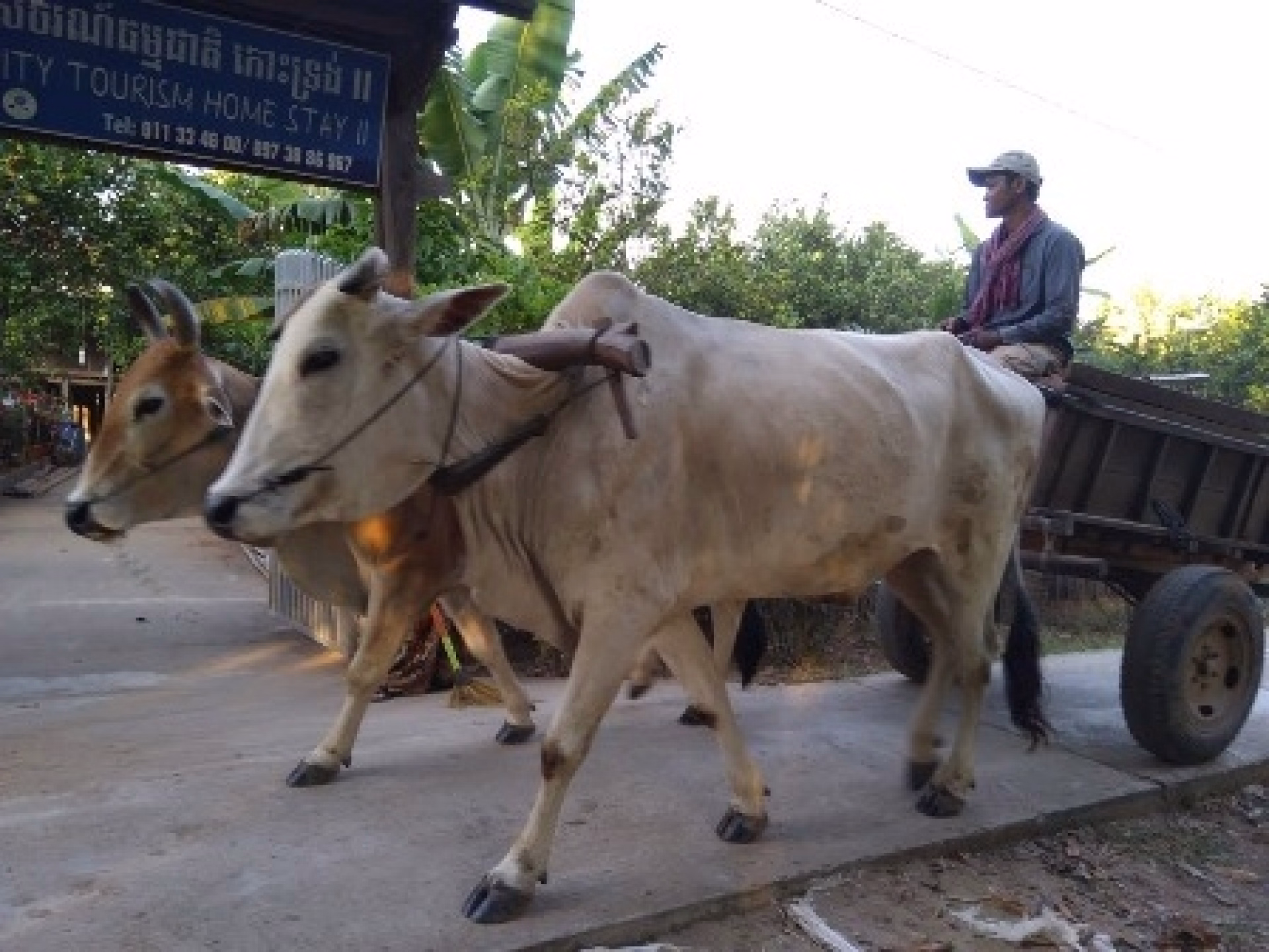 🏠 Chez l’habitant