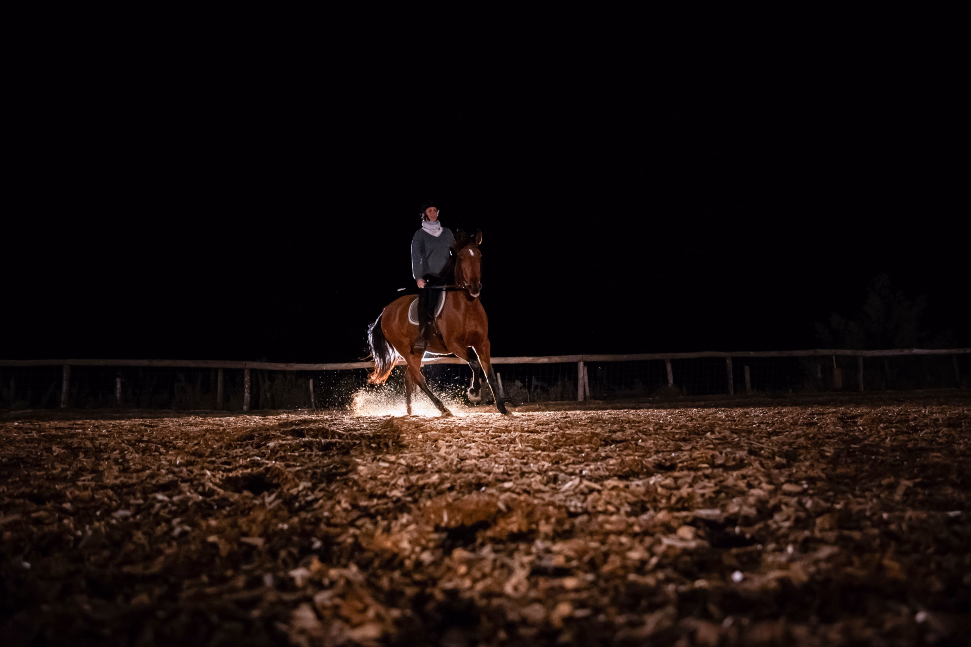 5 jours d'équitation : Initiation et loisir en cours particuliers
