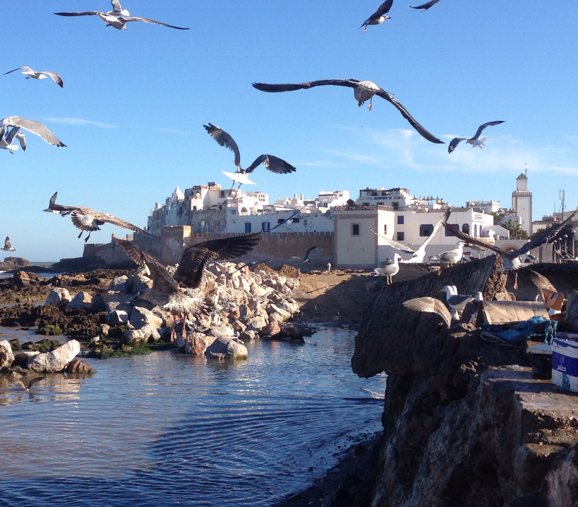 Yoga, Pilates et nouvelles énergies sous le soleil d'Essaouira