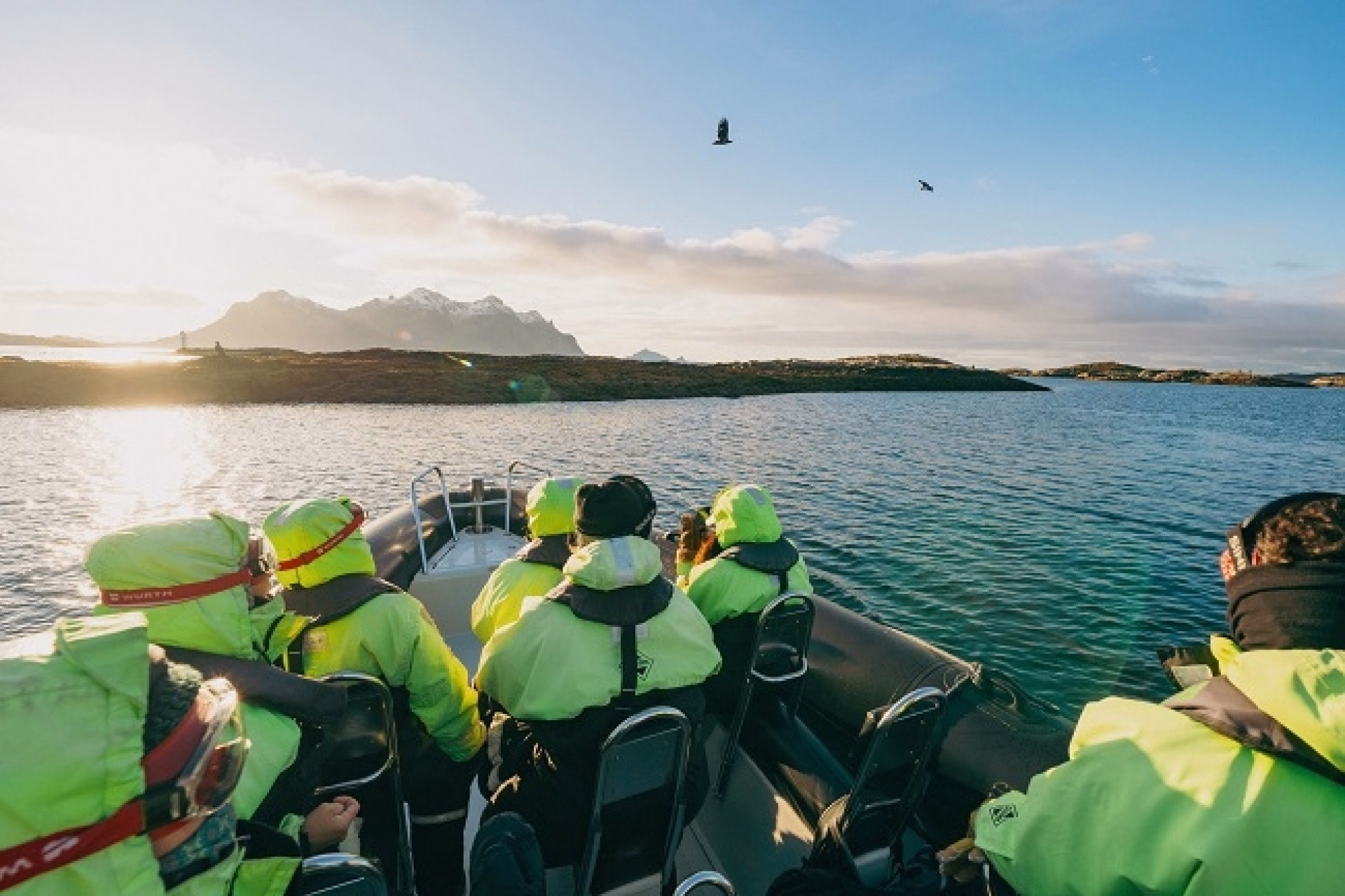 Aventure arctique dans l'archipel des Lofoten