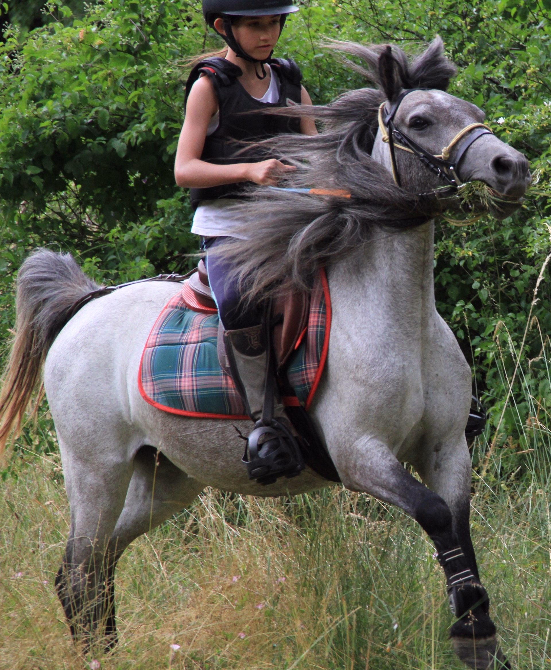 Évasion à cheval dans les montagnes de Barles