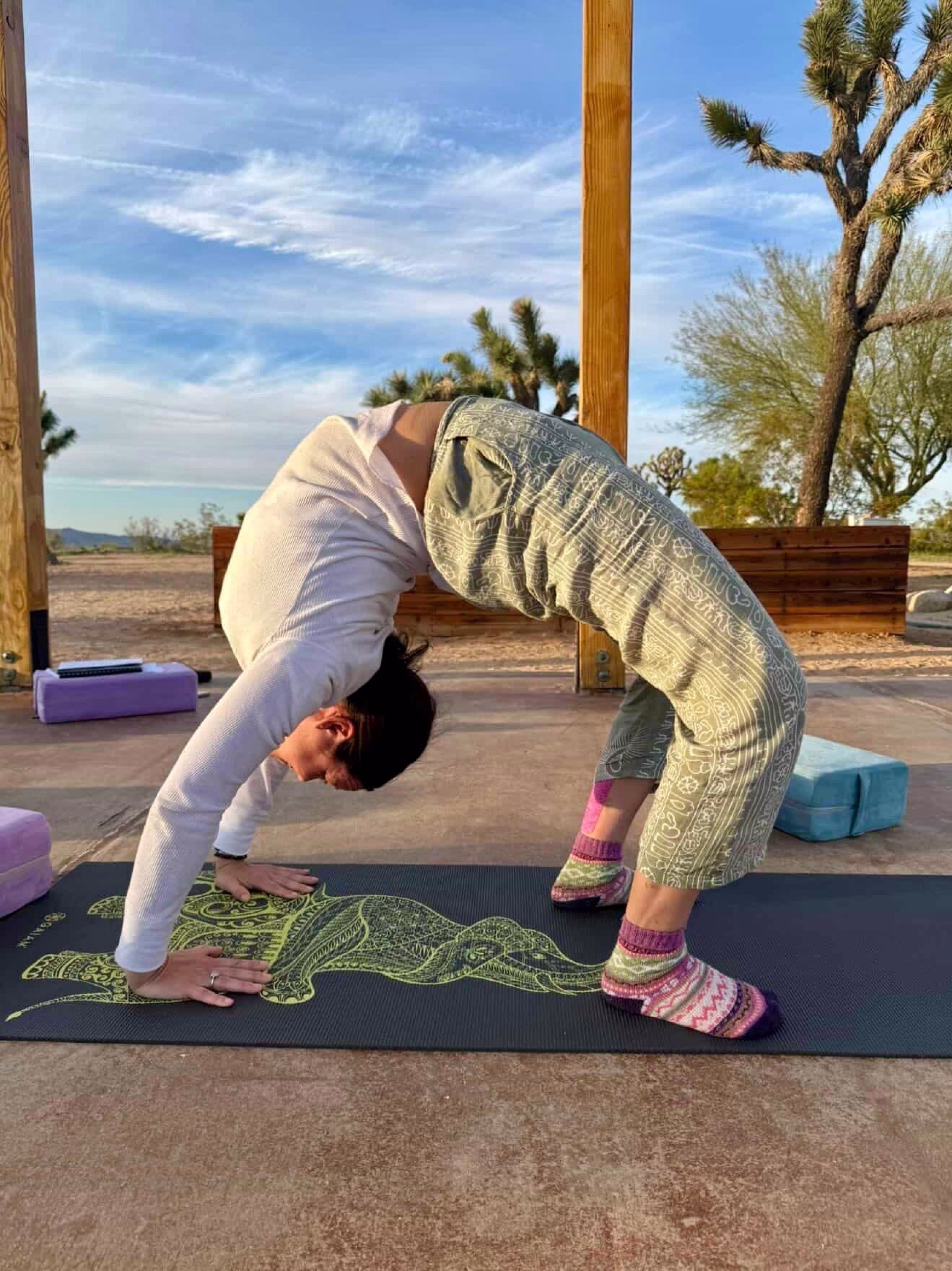 Désert sauvage — 6 jours de yoga & d'aventure à Joshua Tree