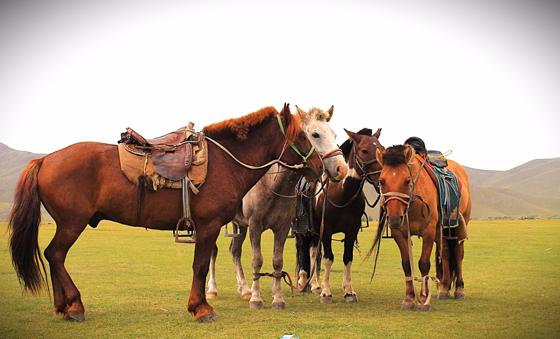 Yoga et équitation dans les steppes mongoles