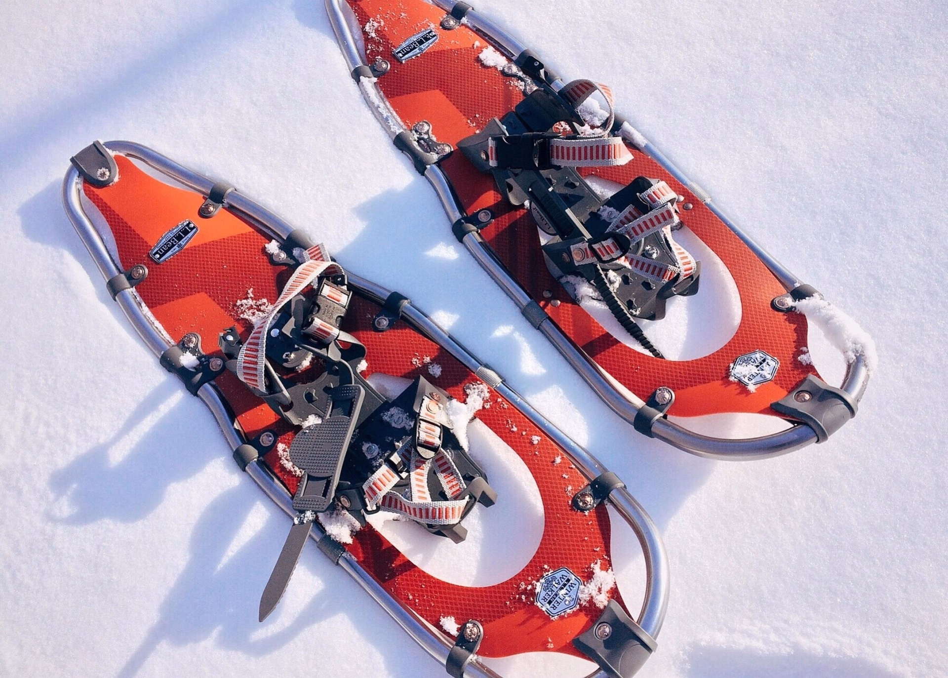 Raquettes, kayak et aurores boréales en Norvège arctique