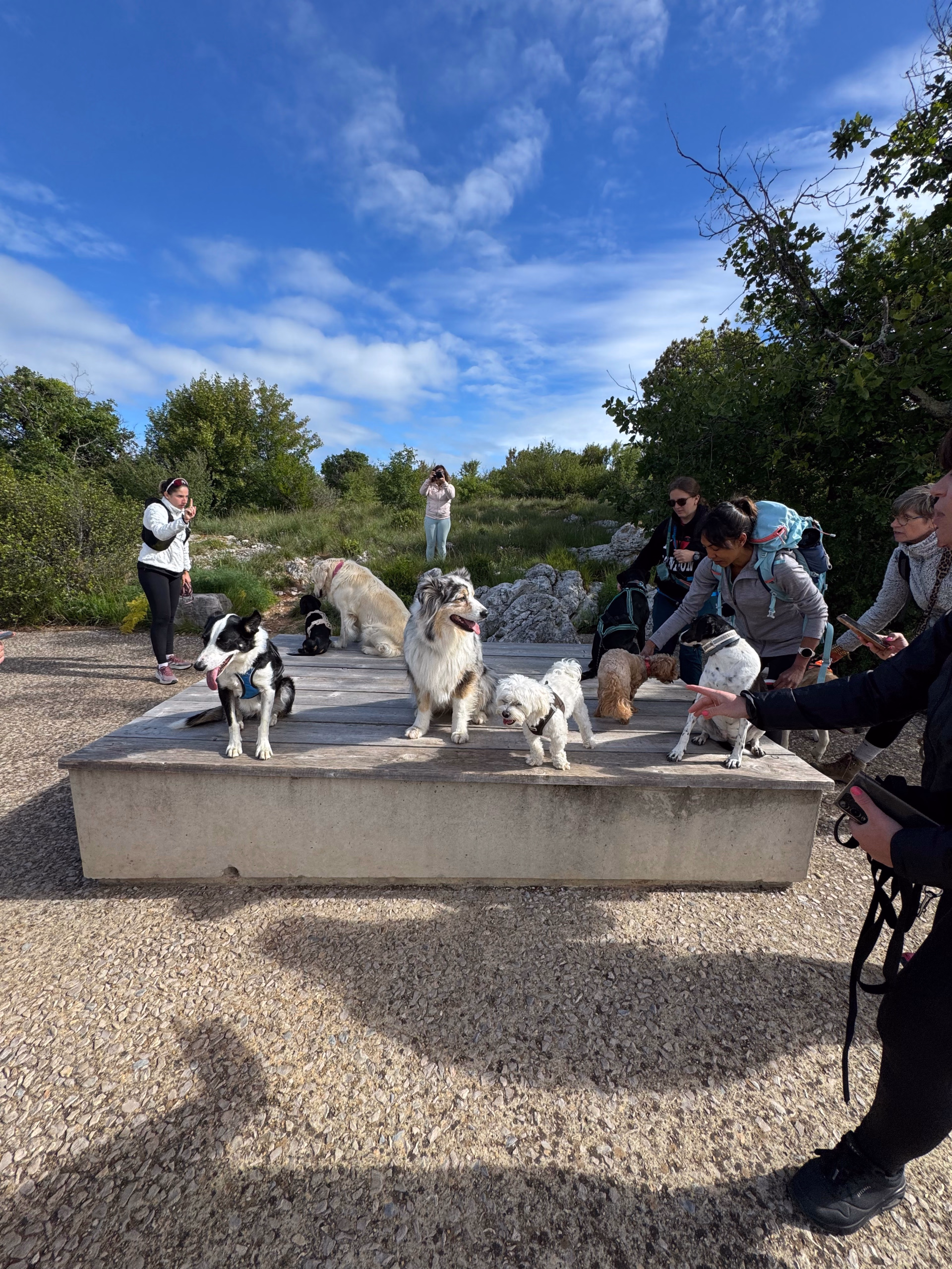 Séjour randonnée et doga dans le Gard avec votre chien