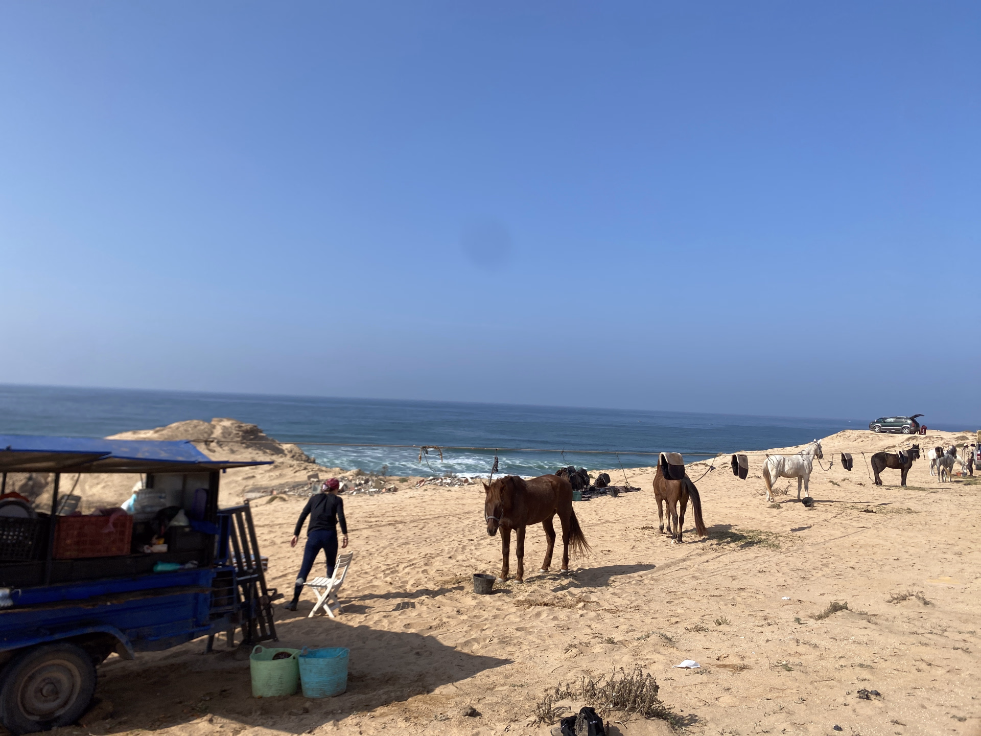 Randonnée équestre entre plages, déserts et palmeraies au Maroc
