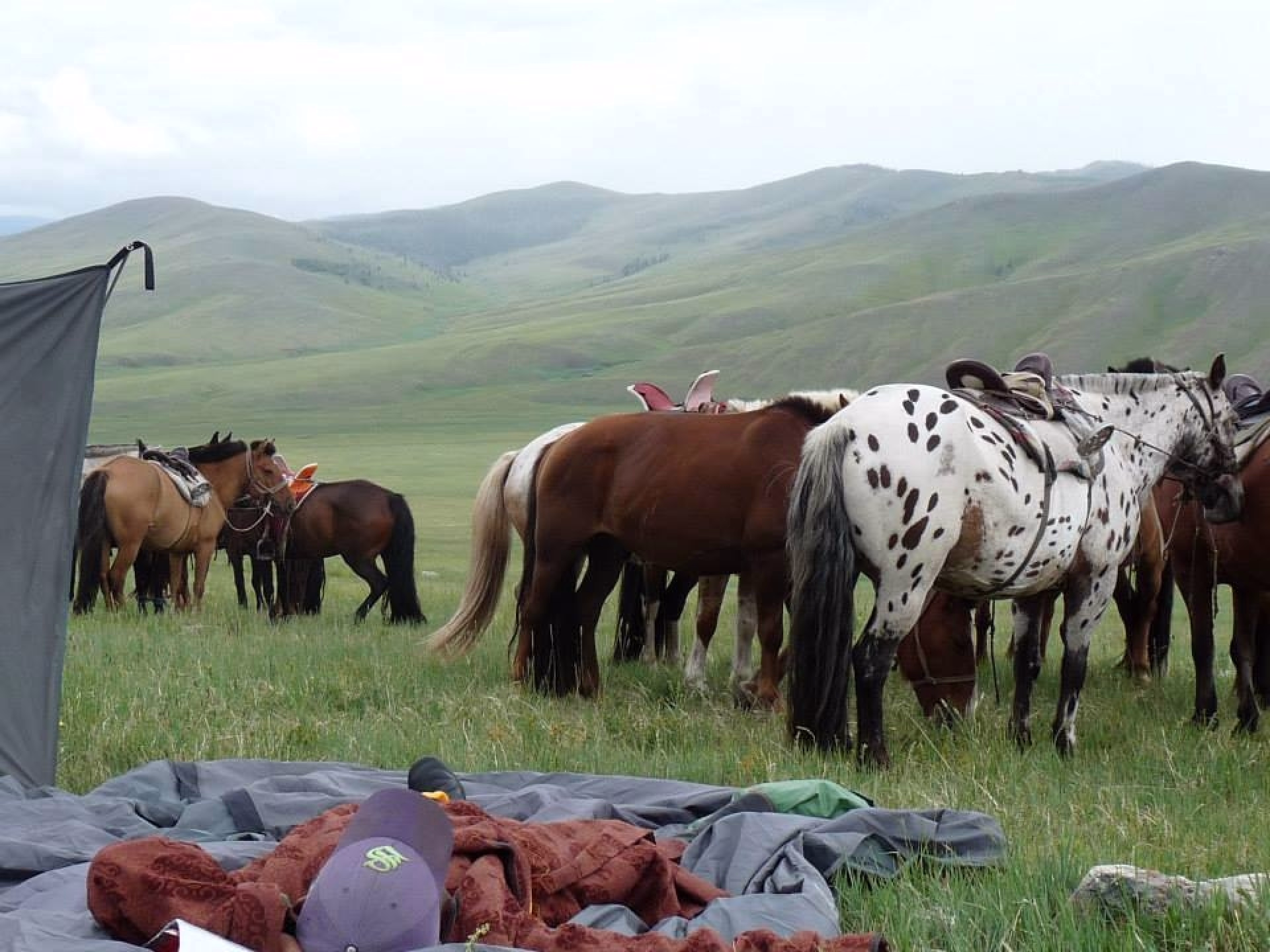 Randonnée à cheval dans les Massifs de Khenti