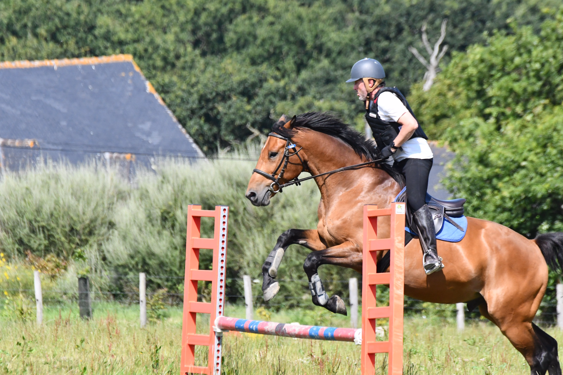 Séjour équestre tous niveaux sur la côte d'Émeraude