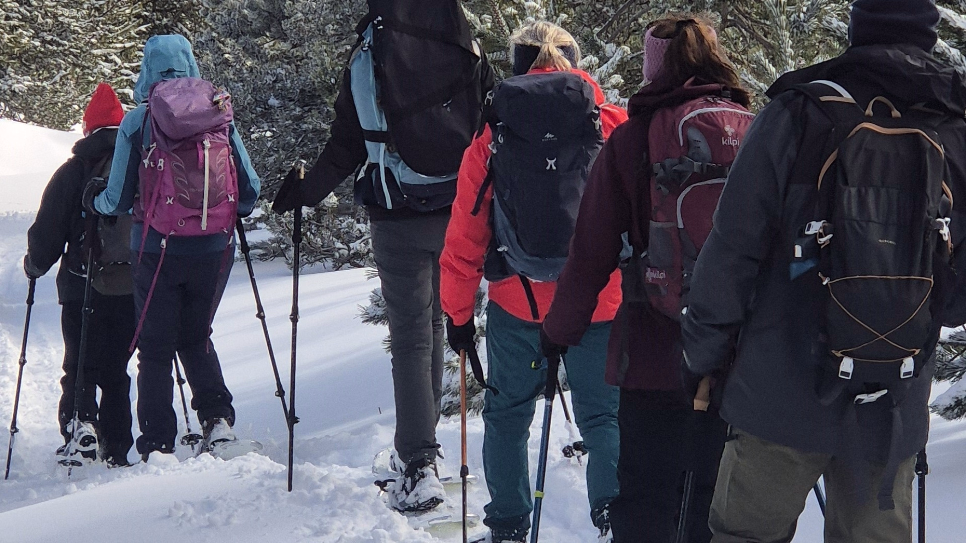 Escapade hivernale en raquettes au pays de l'ours