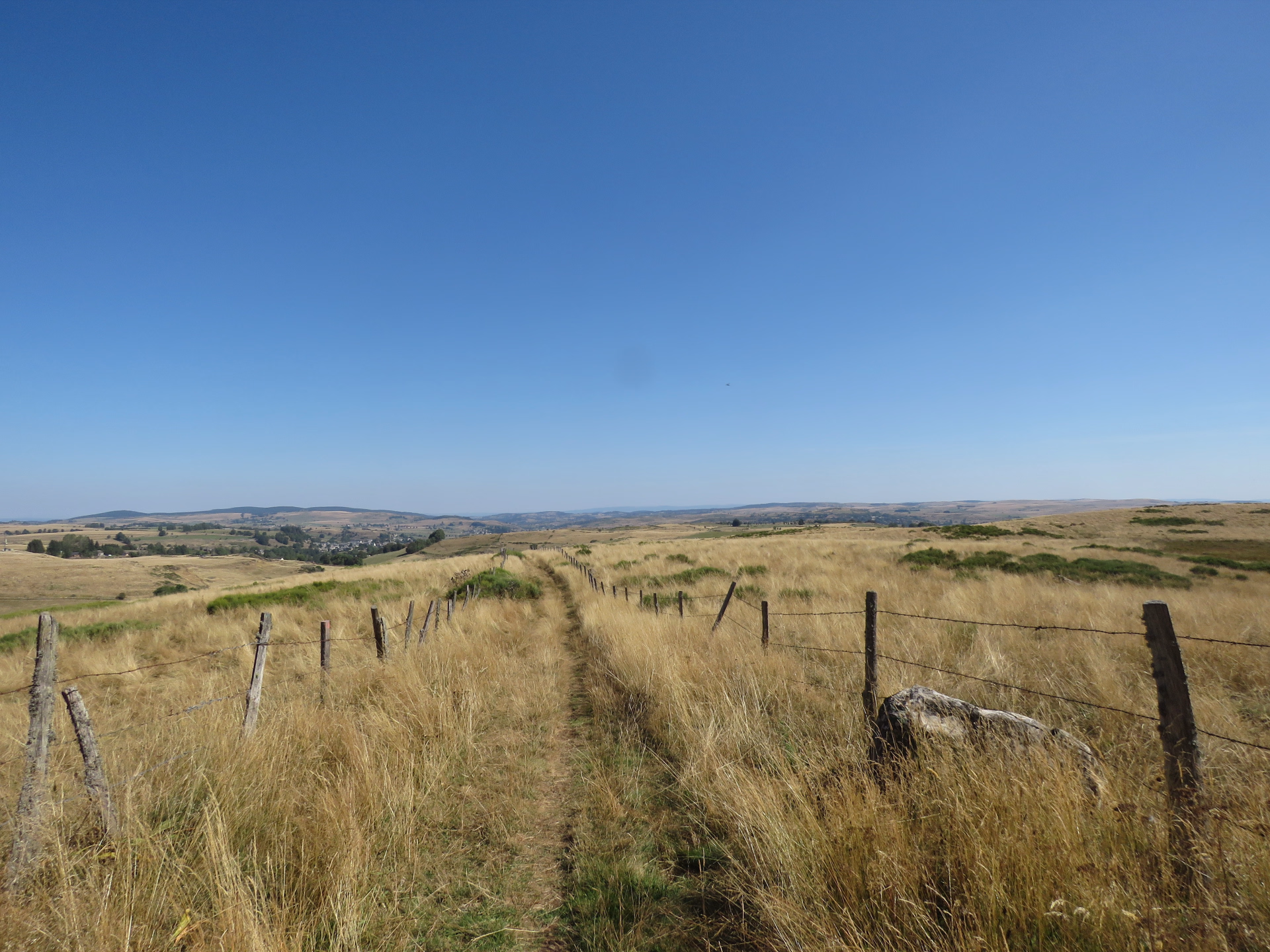 Le tour des Monts d'Aubrac en randonnée