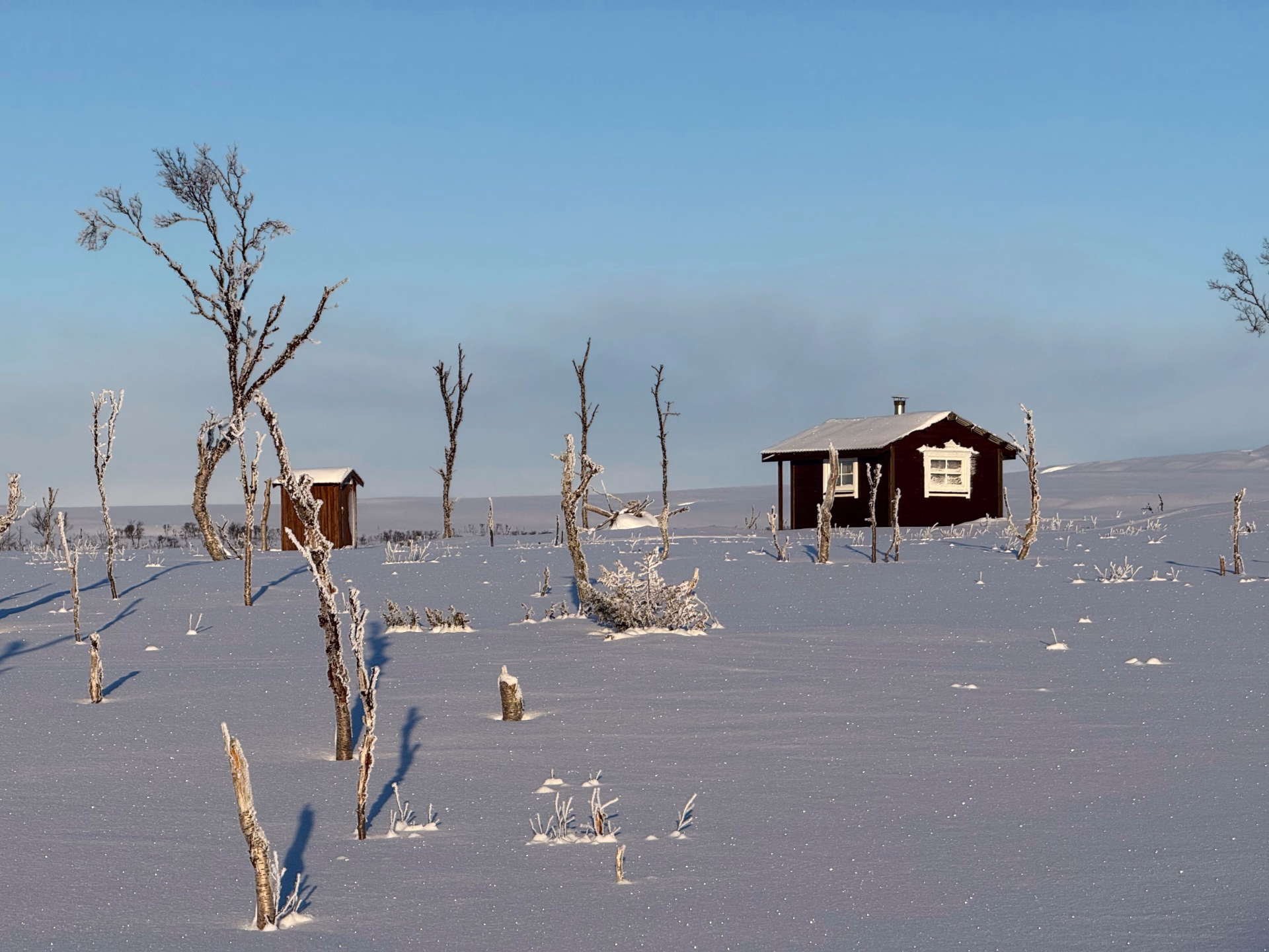 Expédition en terre arctique - chiens de traîneau et bivouac