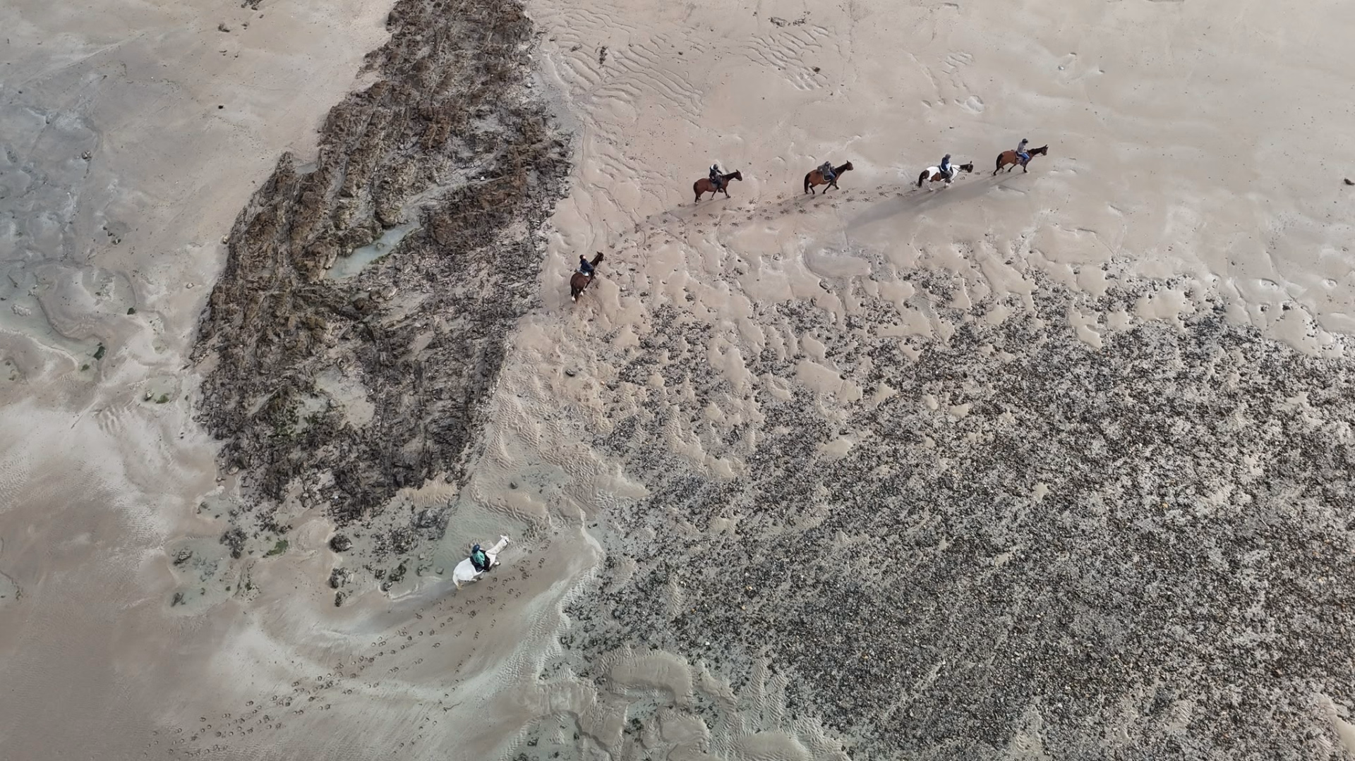 Randonnée à cheval sur les plages de Normandie