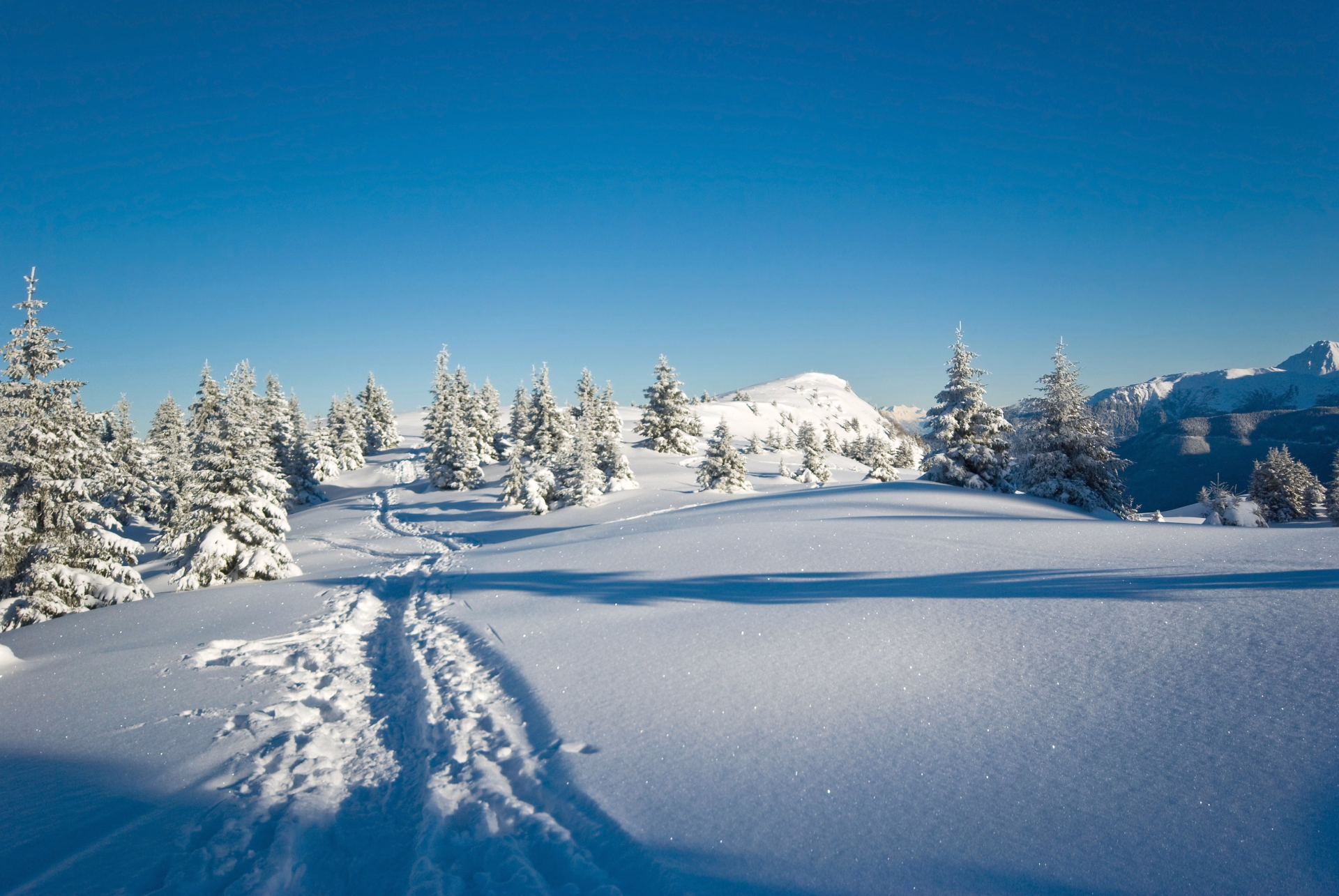 Raquettes à neige au cœur du Massif de Bellebonne, face au Mont Blanc