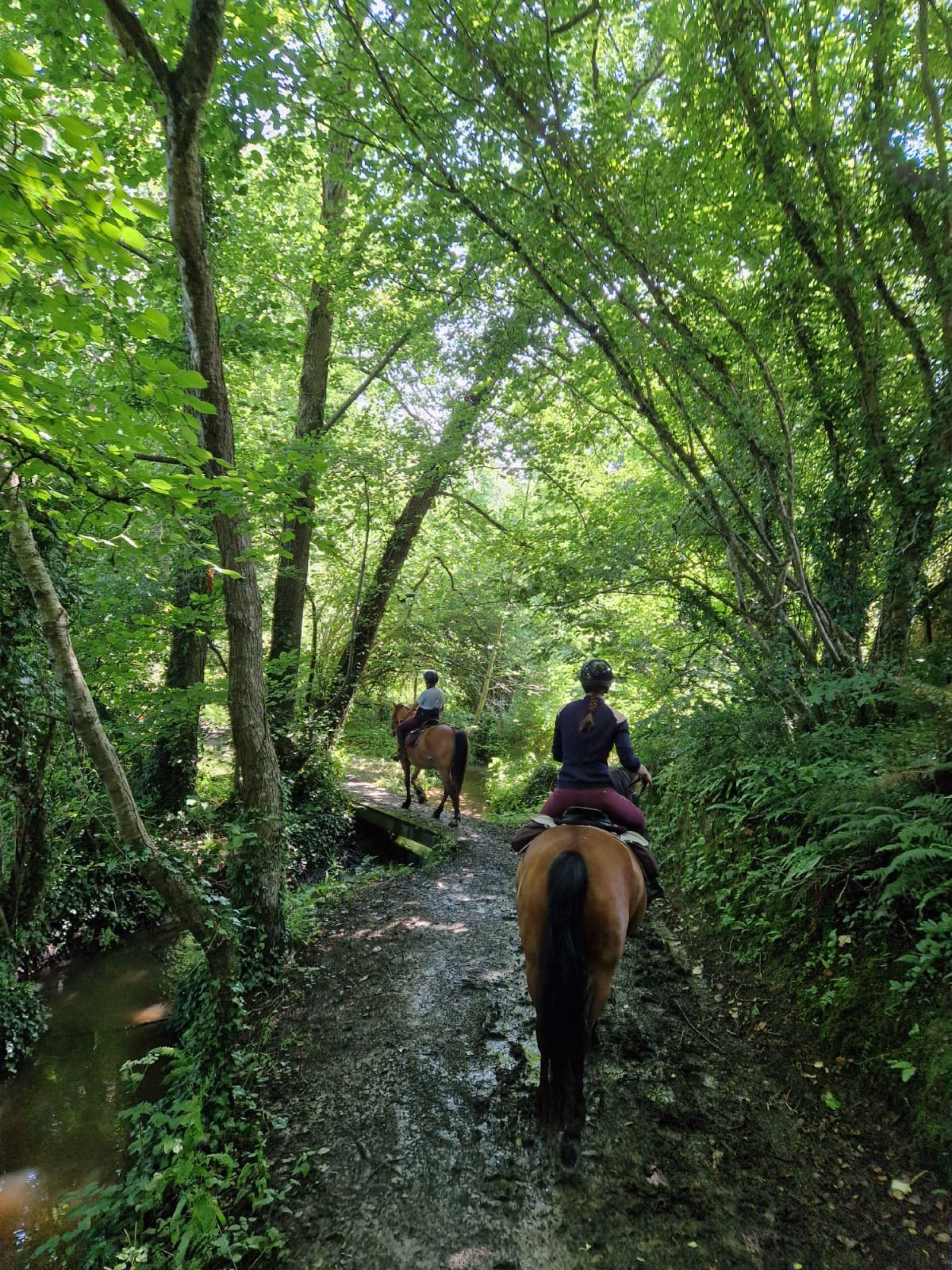 Randonnée à cheval vers les plages de la Vanlée