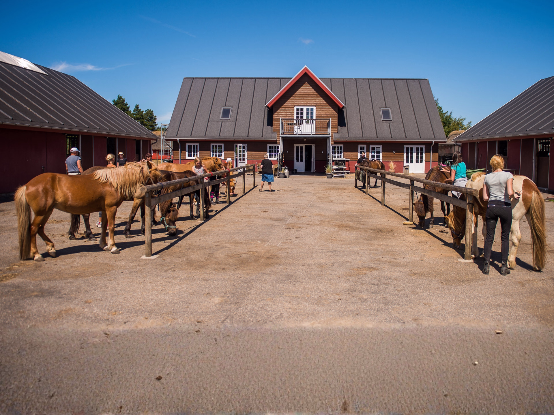 Séjour équestre sur l’île de Rømø au Danemark