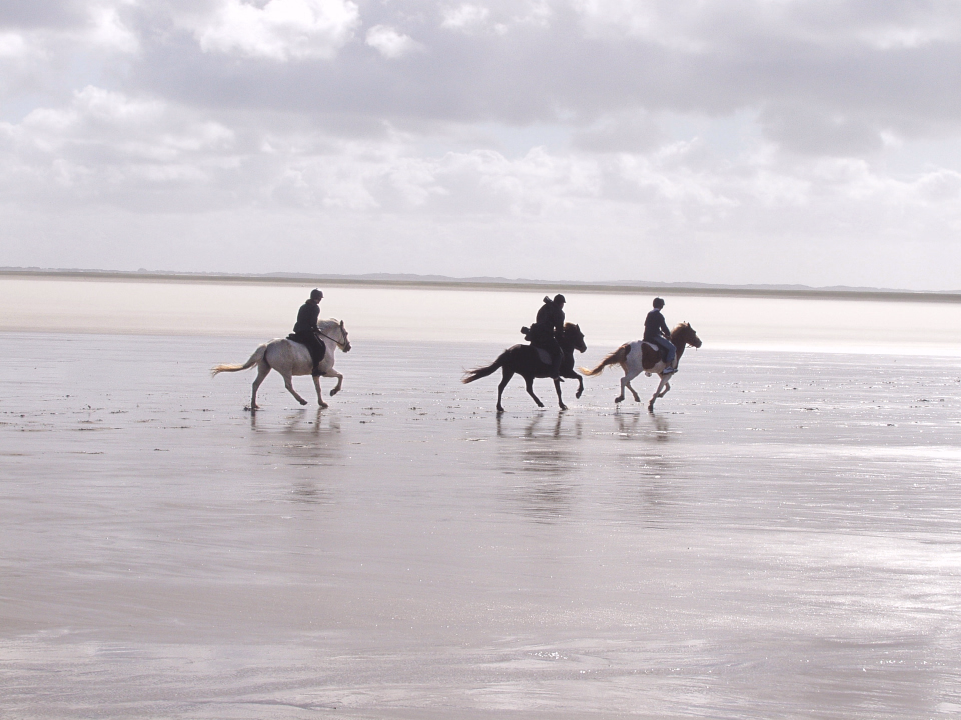 Séjour équestre sur l’île de Rømø au Danemark