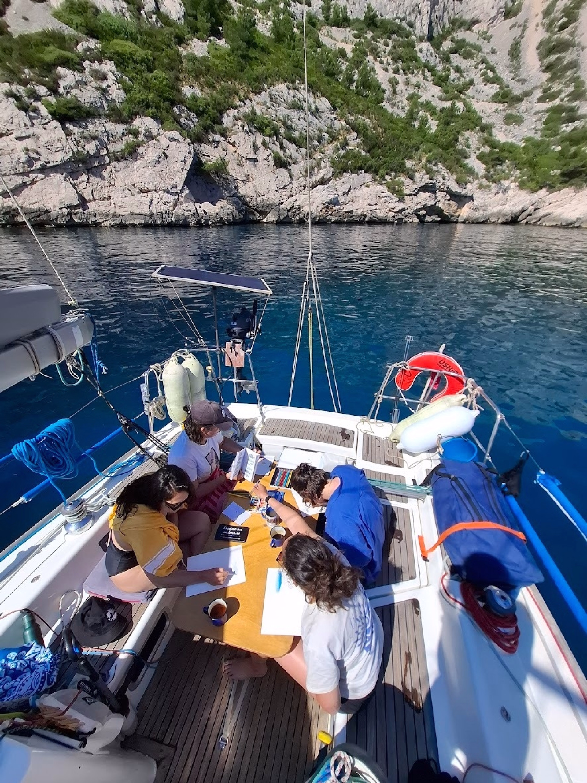 Navigation et observation de la faune marine dans les Calanques