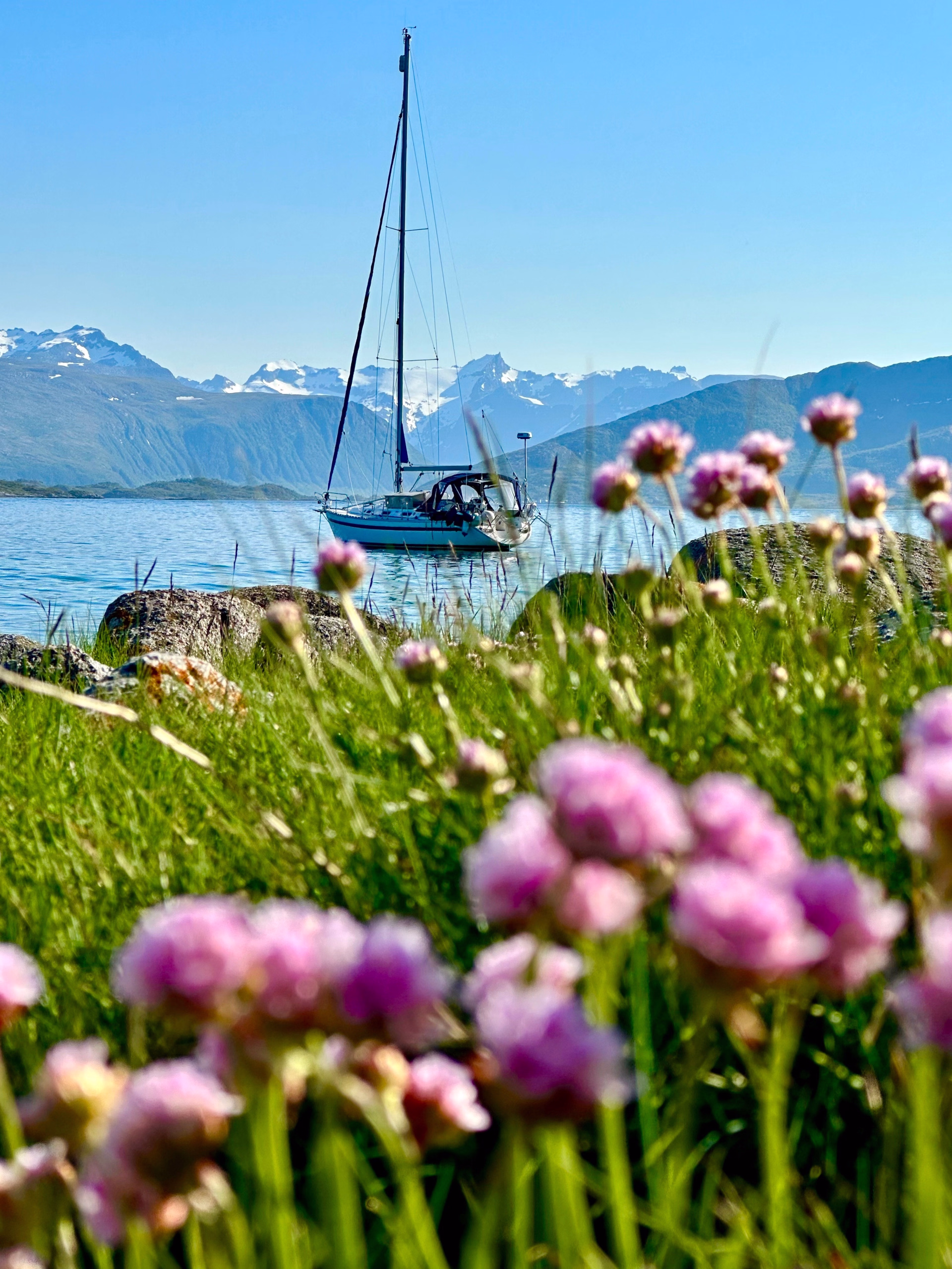 Voile & Randonnée dans les fjords sauvages de Norvège