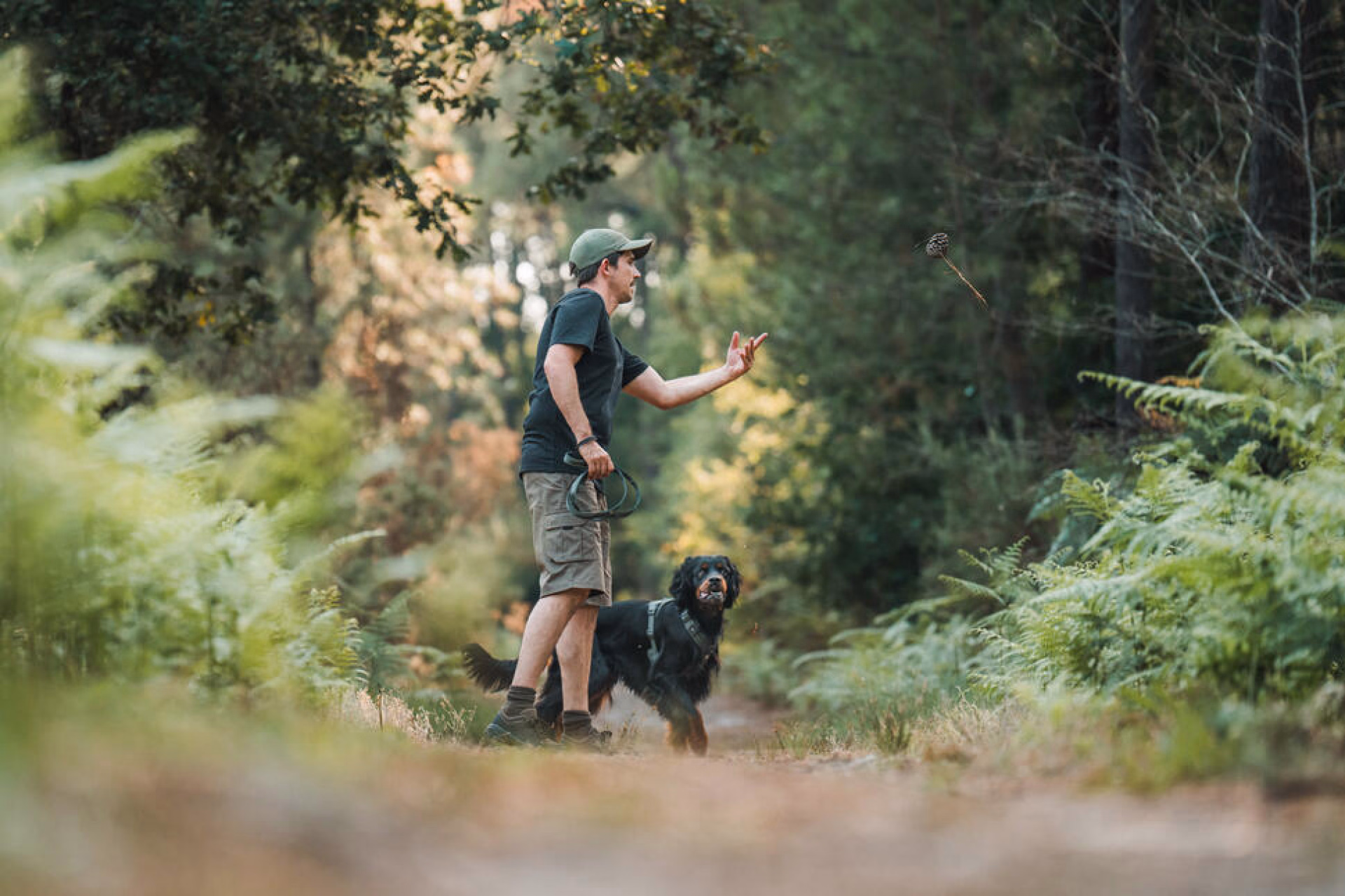randonnée avec son chien