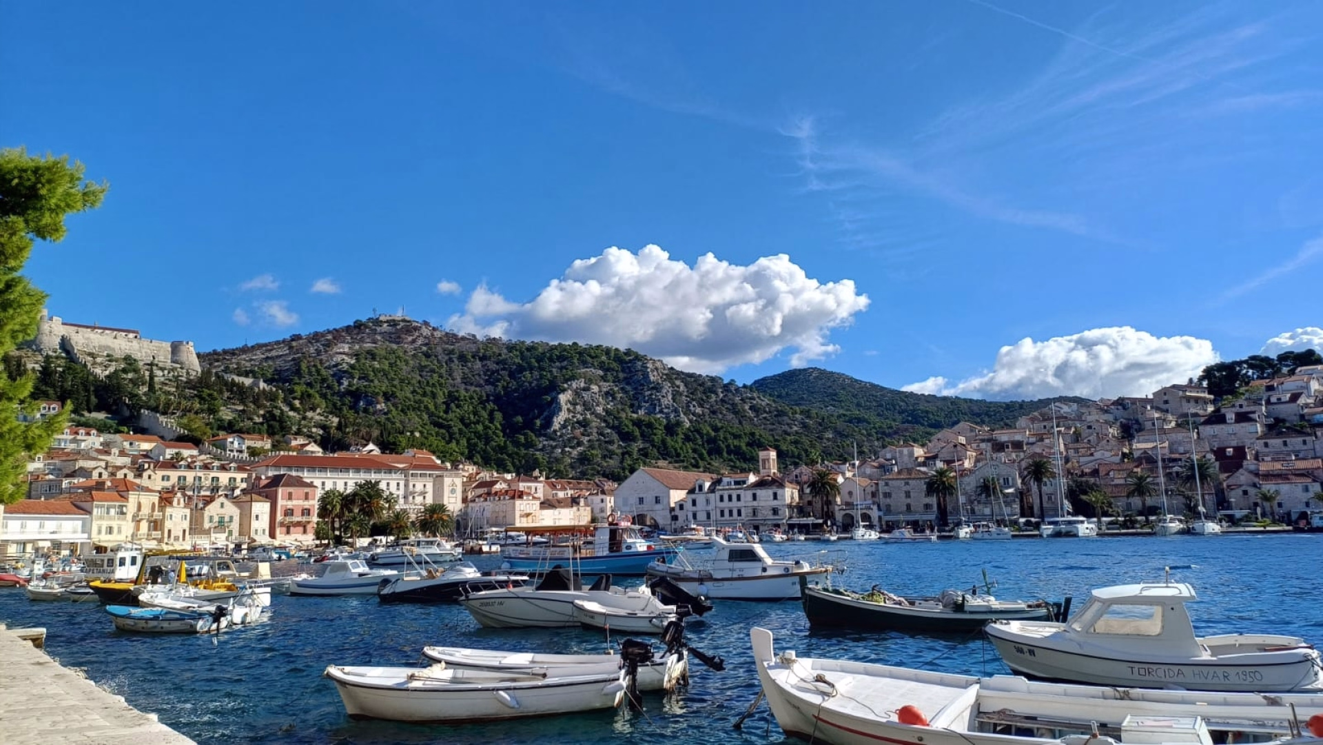 Croisière conviviale en catamaran entre les îles Dalmates
