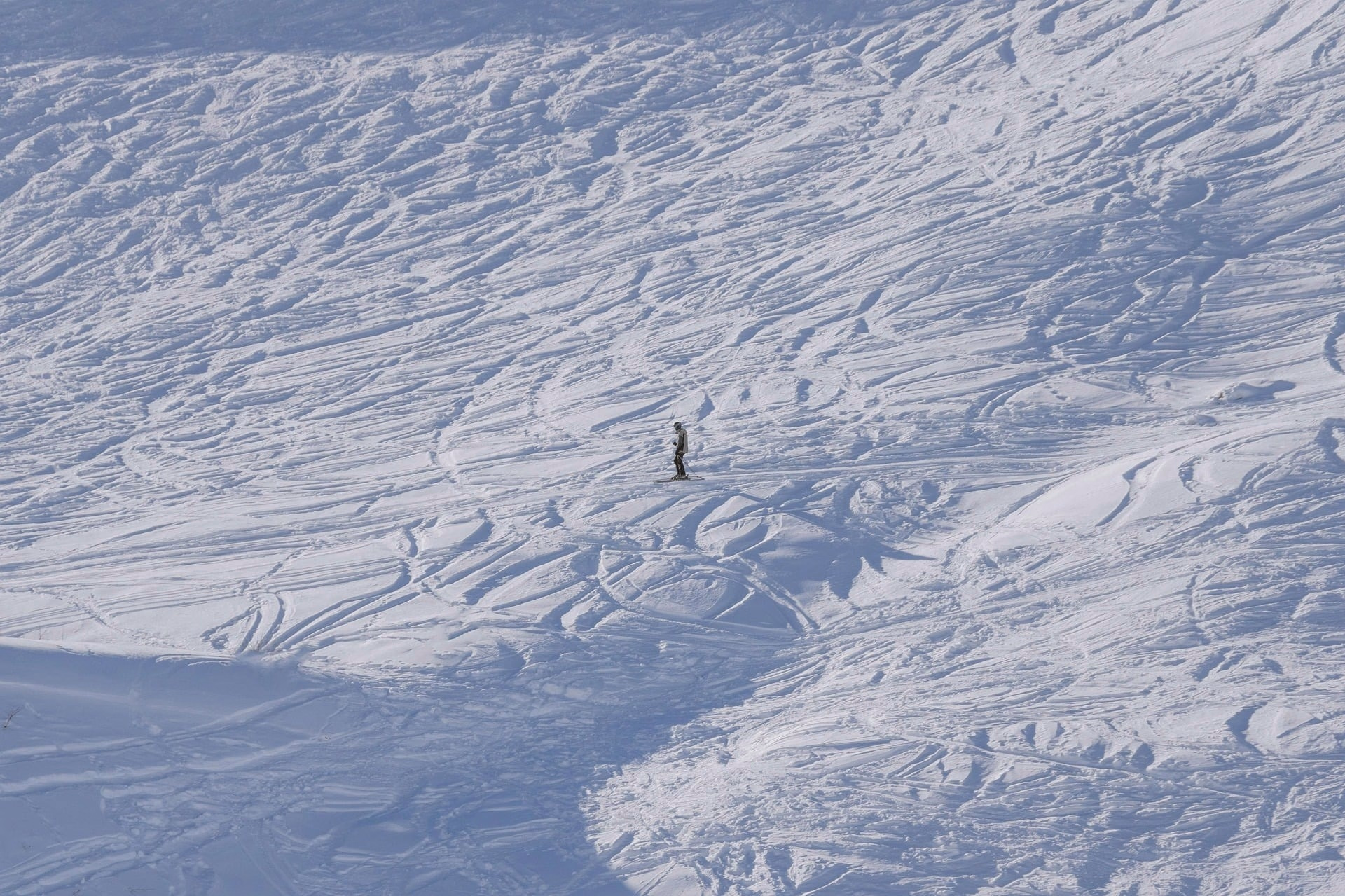 Ski freeride et aurores boréales à Narvik