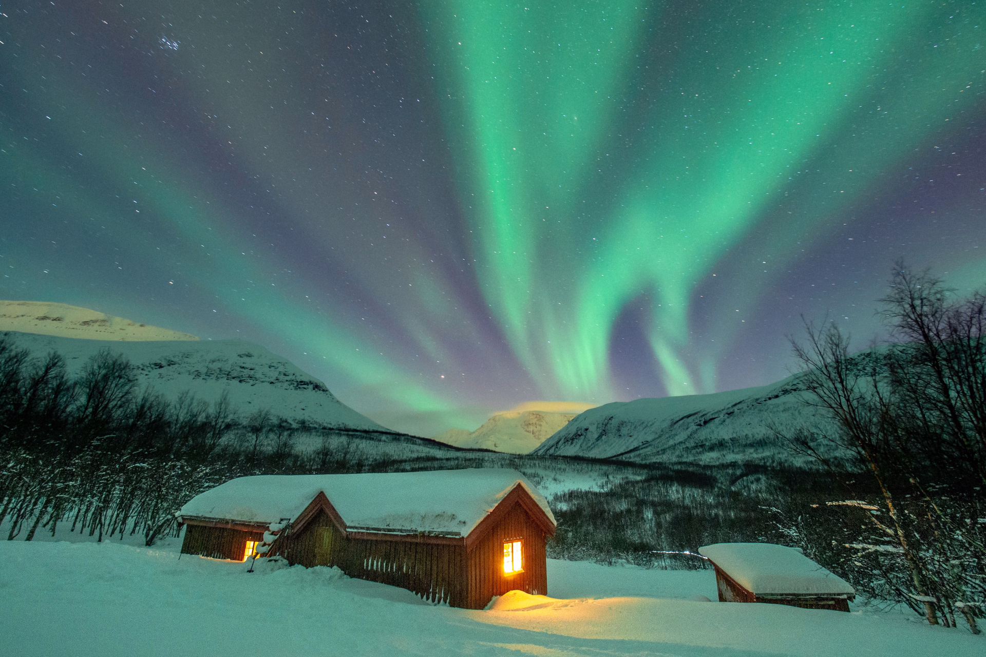 Expédition chien de traîneau dans le Parc National de Dividalen