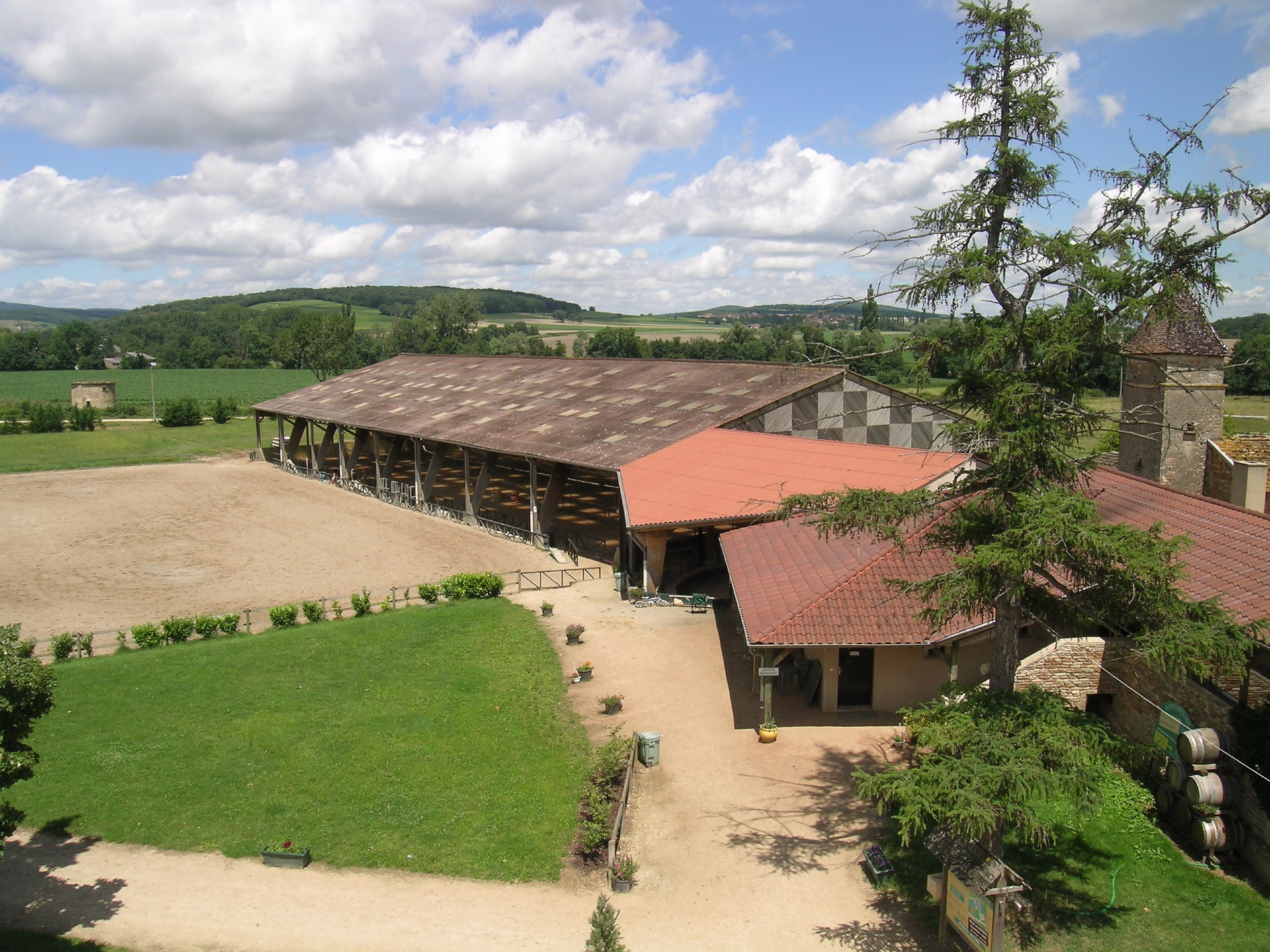 Stage d'équitation dans les vignes en Bourgogne du sud
