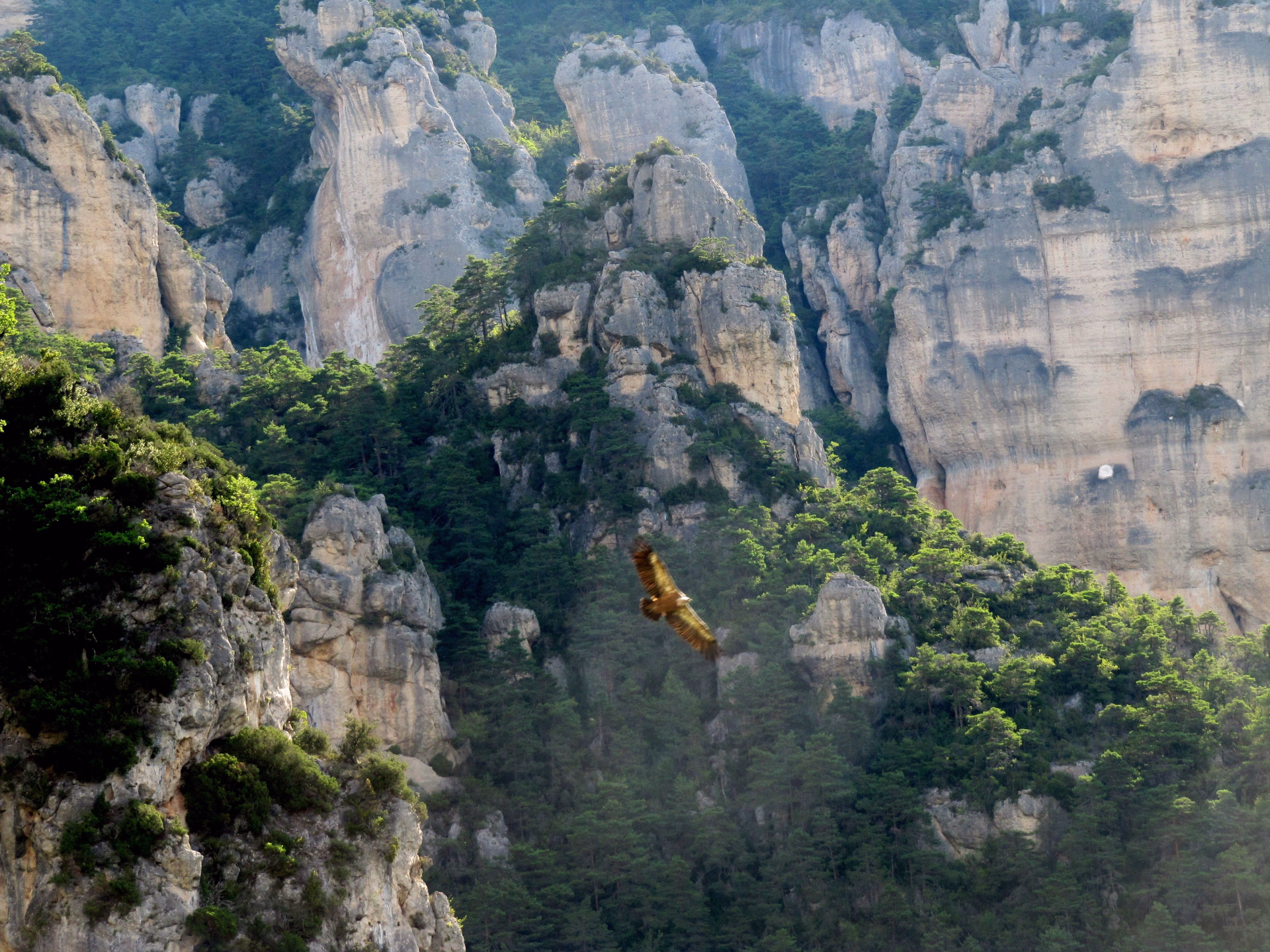 Séjour famille multi-activités dans les Cévennes