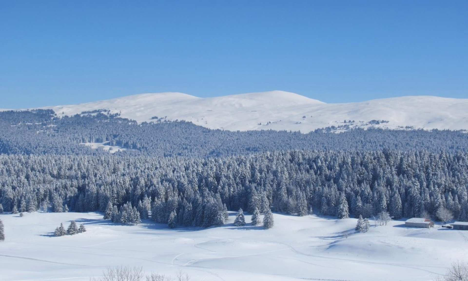 Randonnée en raquettes dans les Hautes Combes du Jura