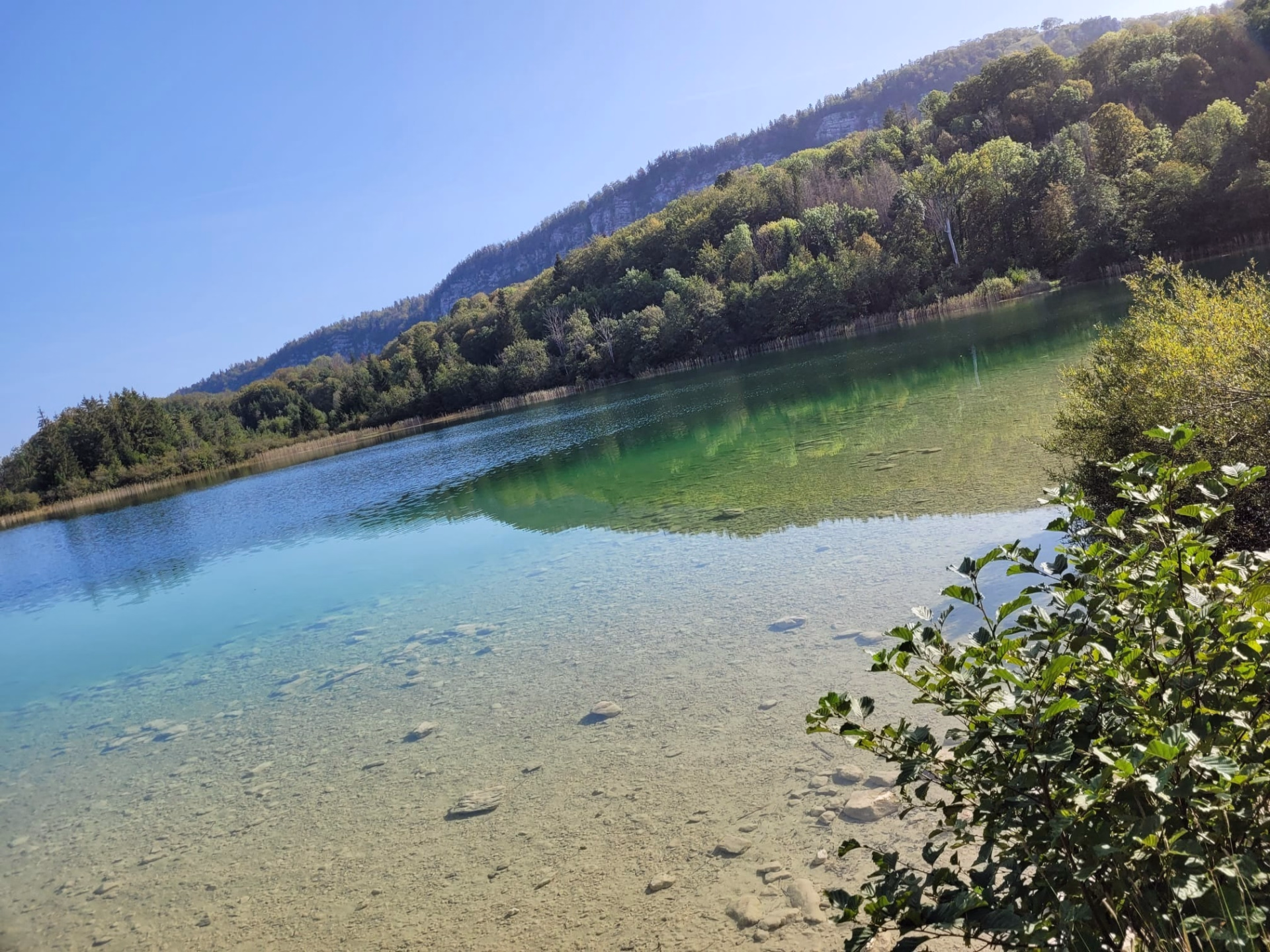 Week-end randonnée équestre au cœur du Haut-Jura
