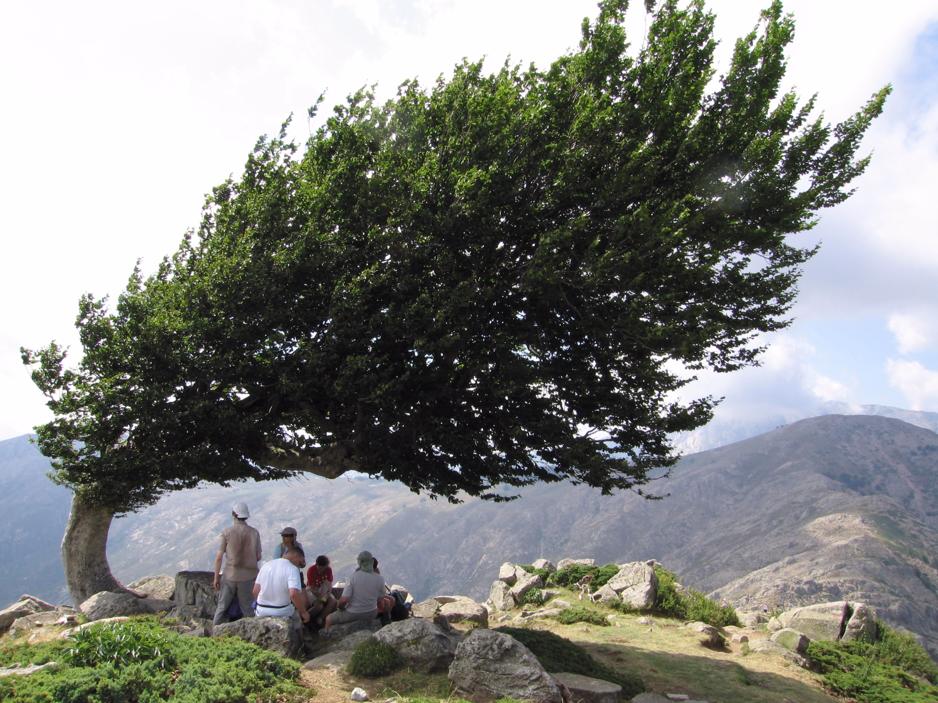 Le GR20 Nord originel en liberté avec transfert des bagages