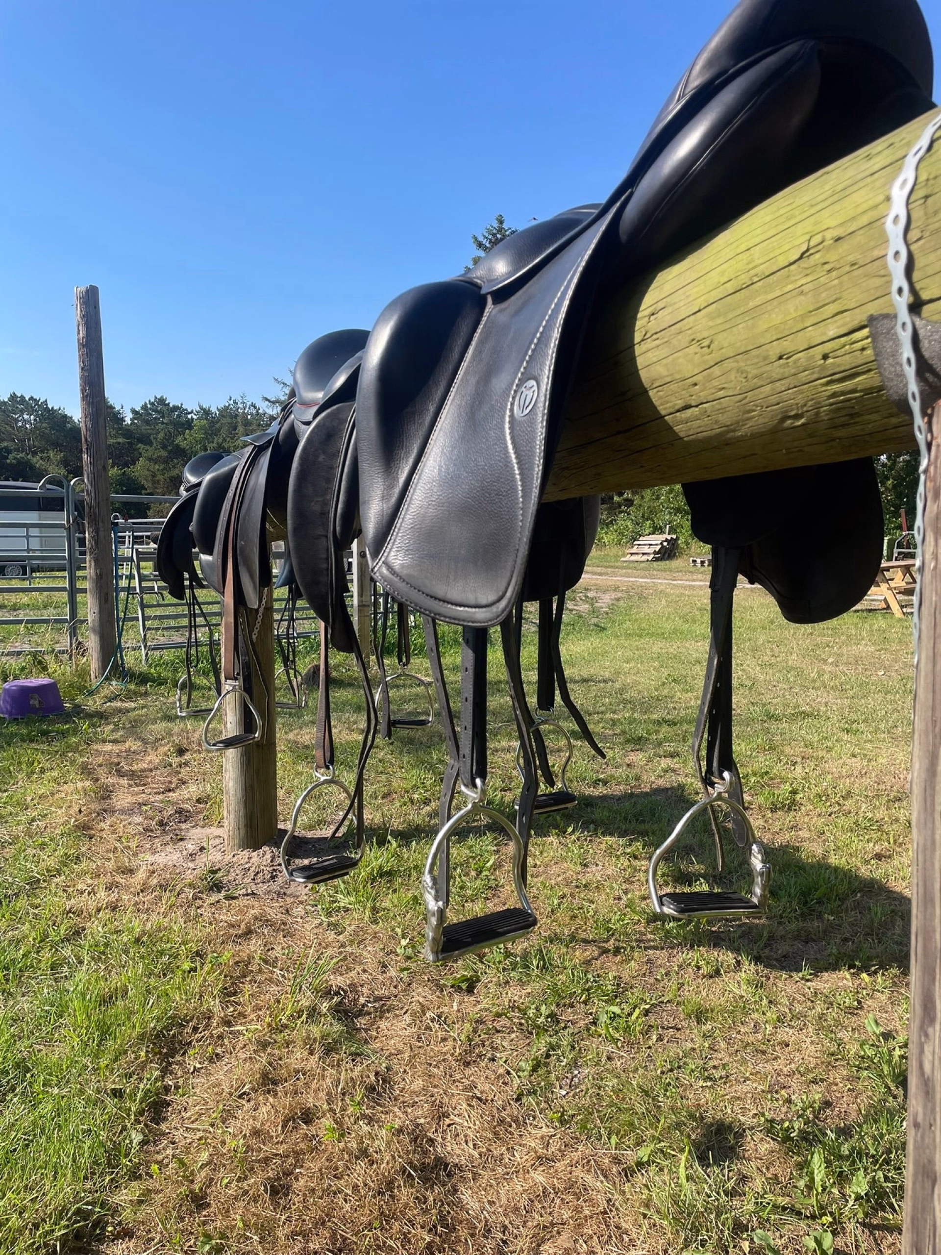 Randonnée équestre sur les plages du Danemark entre fjords et Wadden