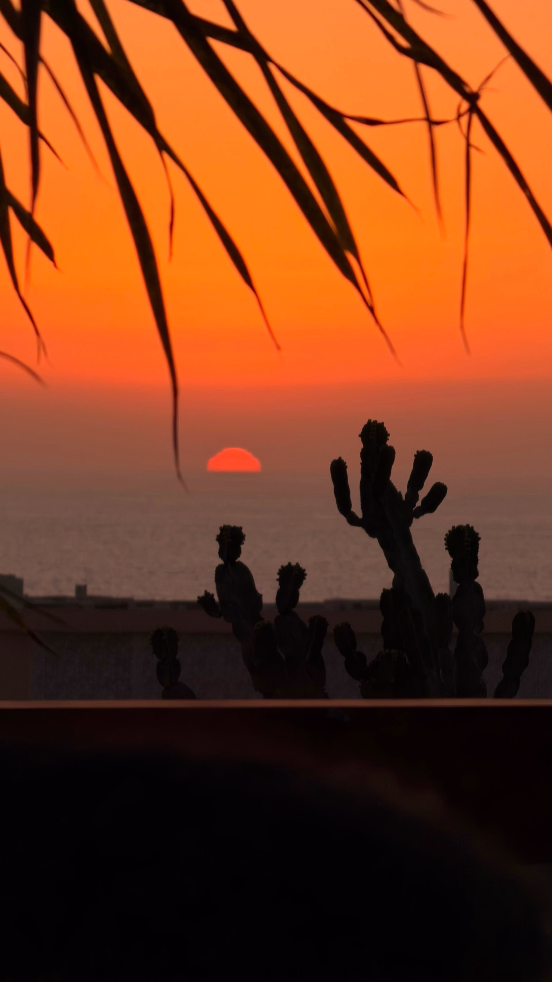 Retraite entre filles au Maroc : Pilates Reformer, Mat & Surf
