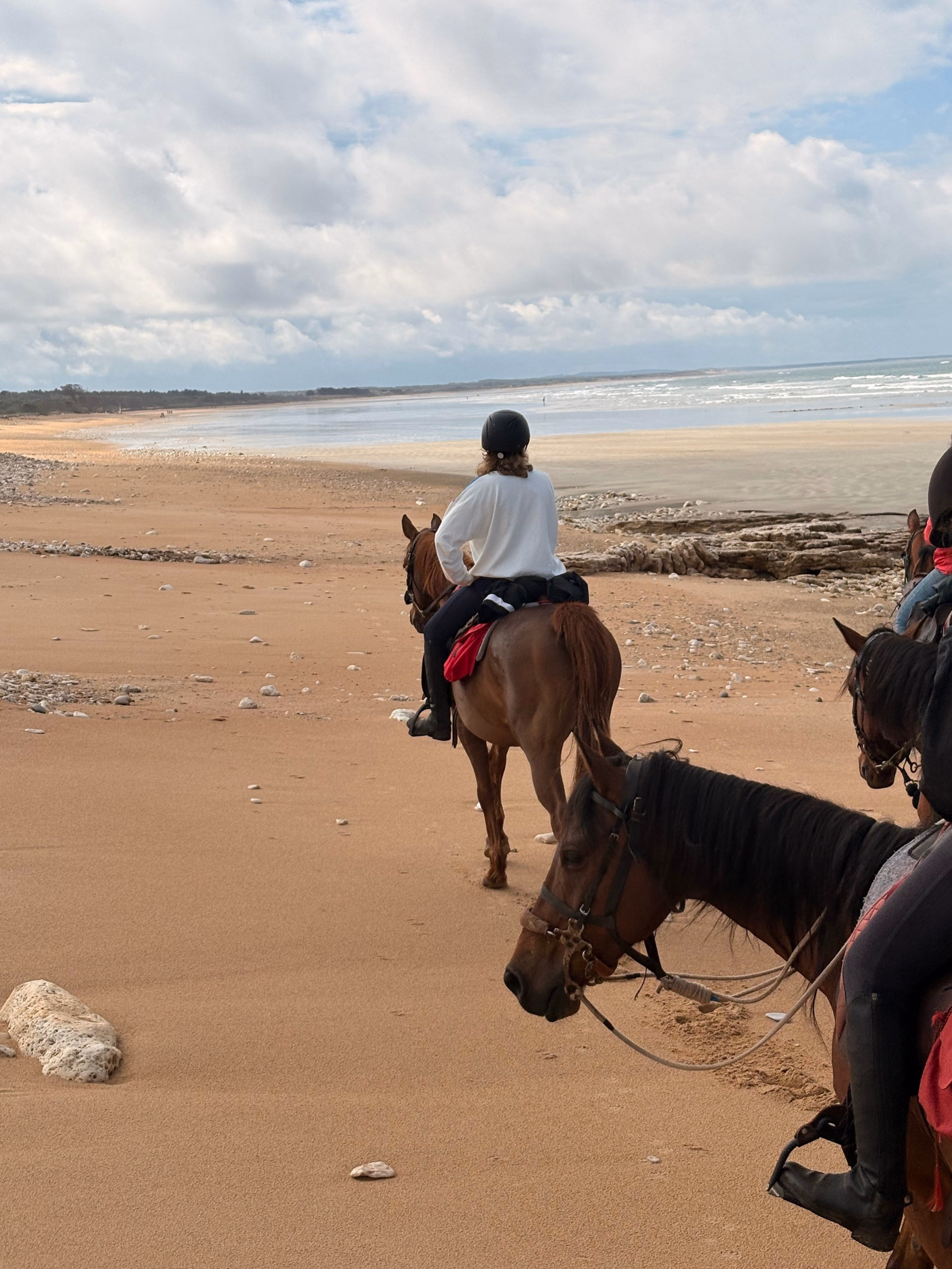 Randonnée Équestre Océan & Forêt de la Côte Atlantique