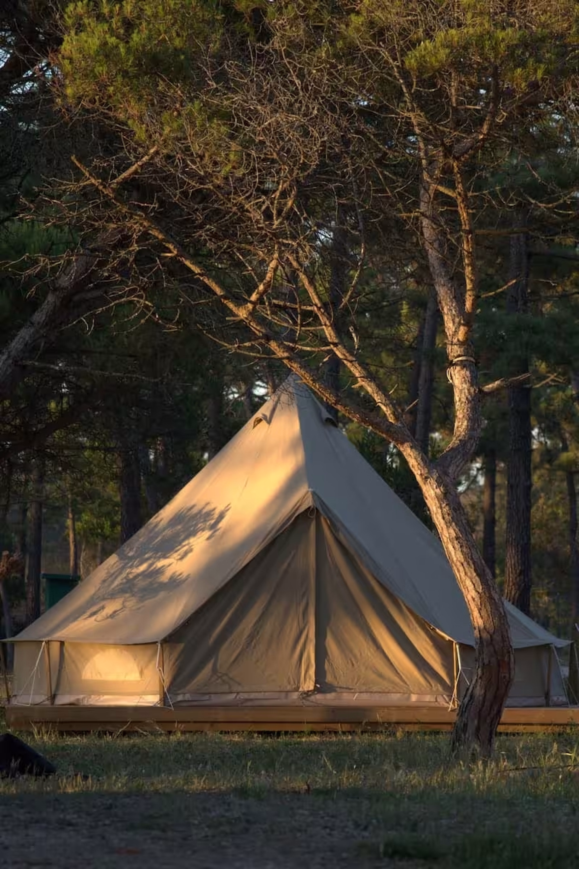 Séjour Surf & Yoga au Portugal