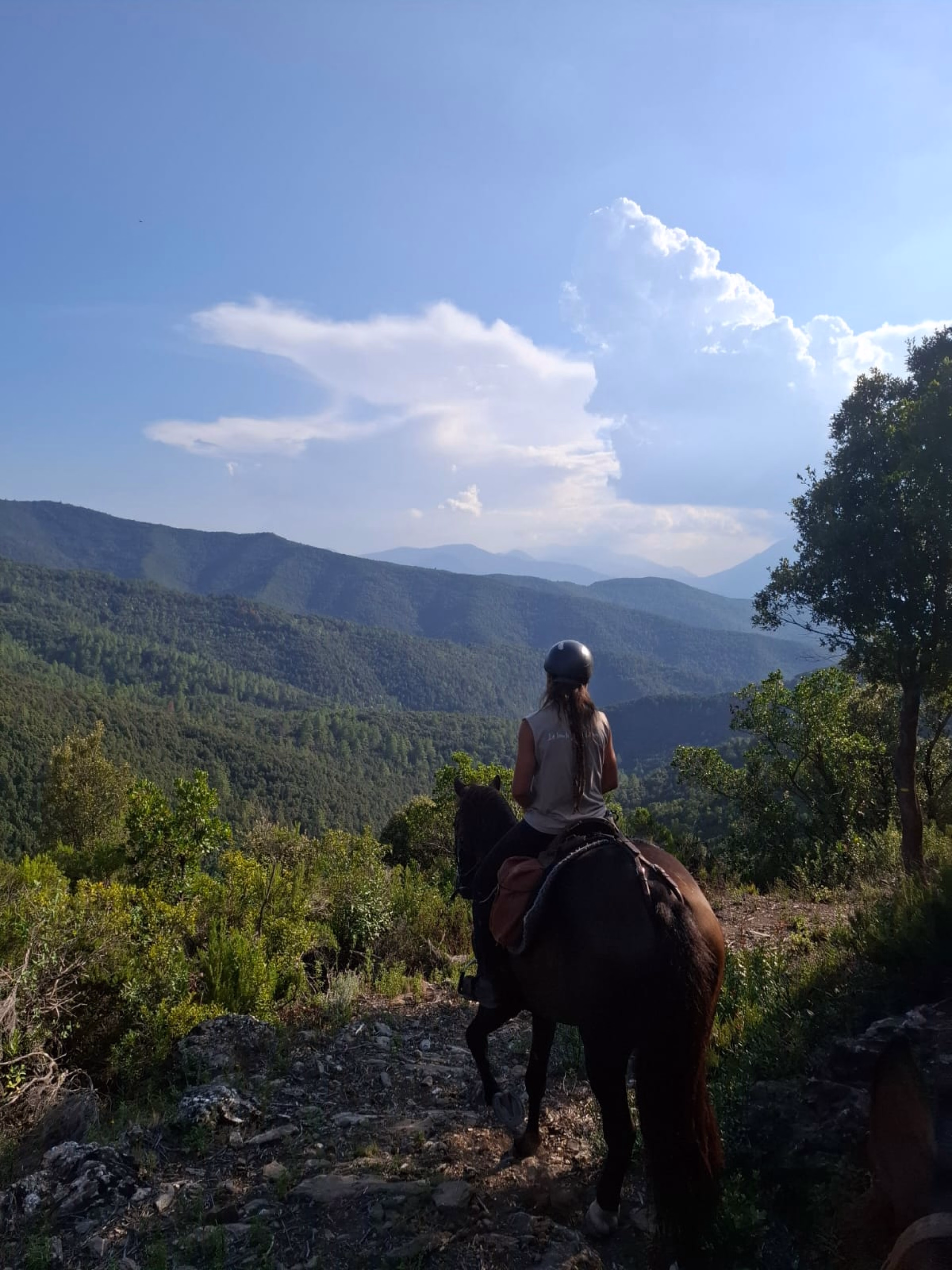 Photo randonnée équestre en Corse
