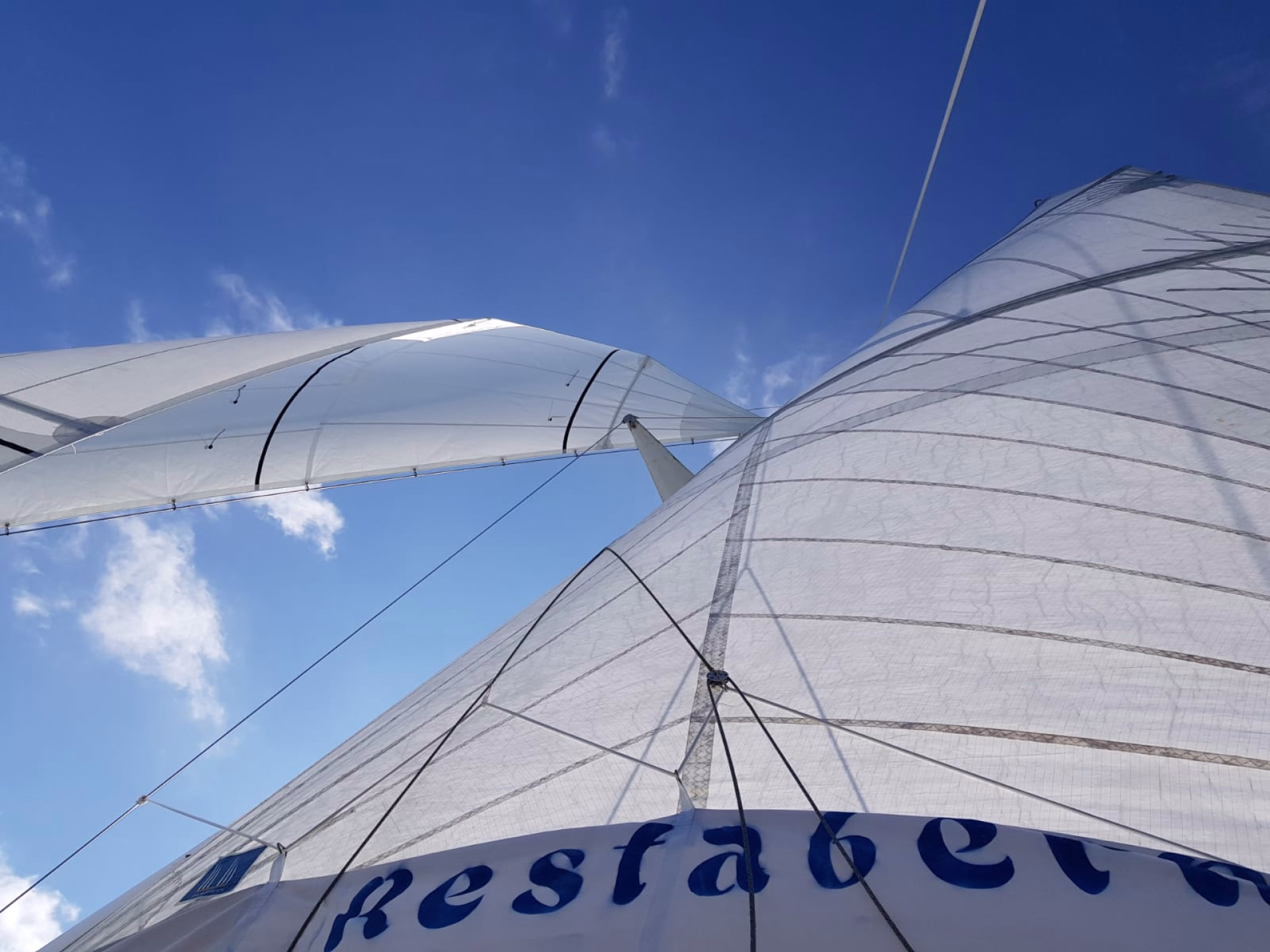 Voile d'un catamaran