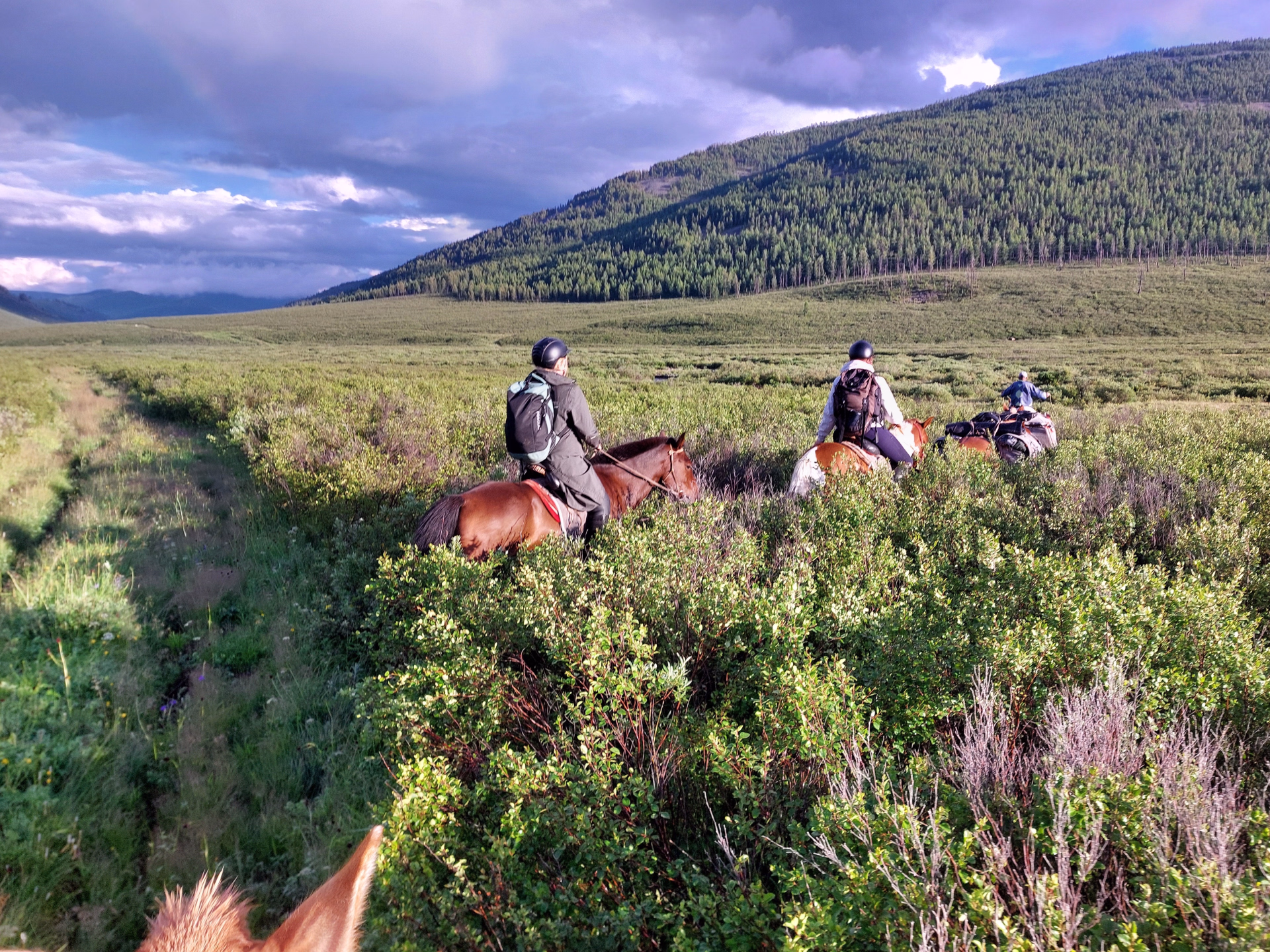 Randonnée à cheval dans le parc national de Terelj en Mongolie