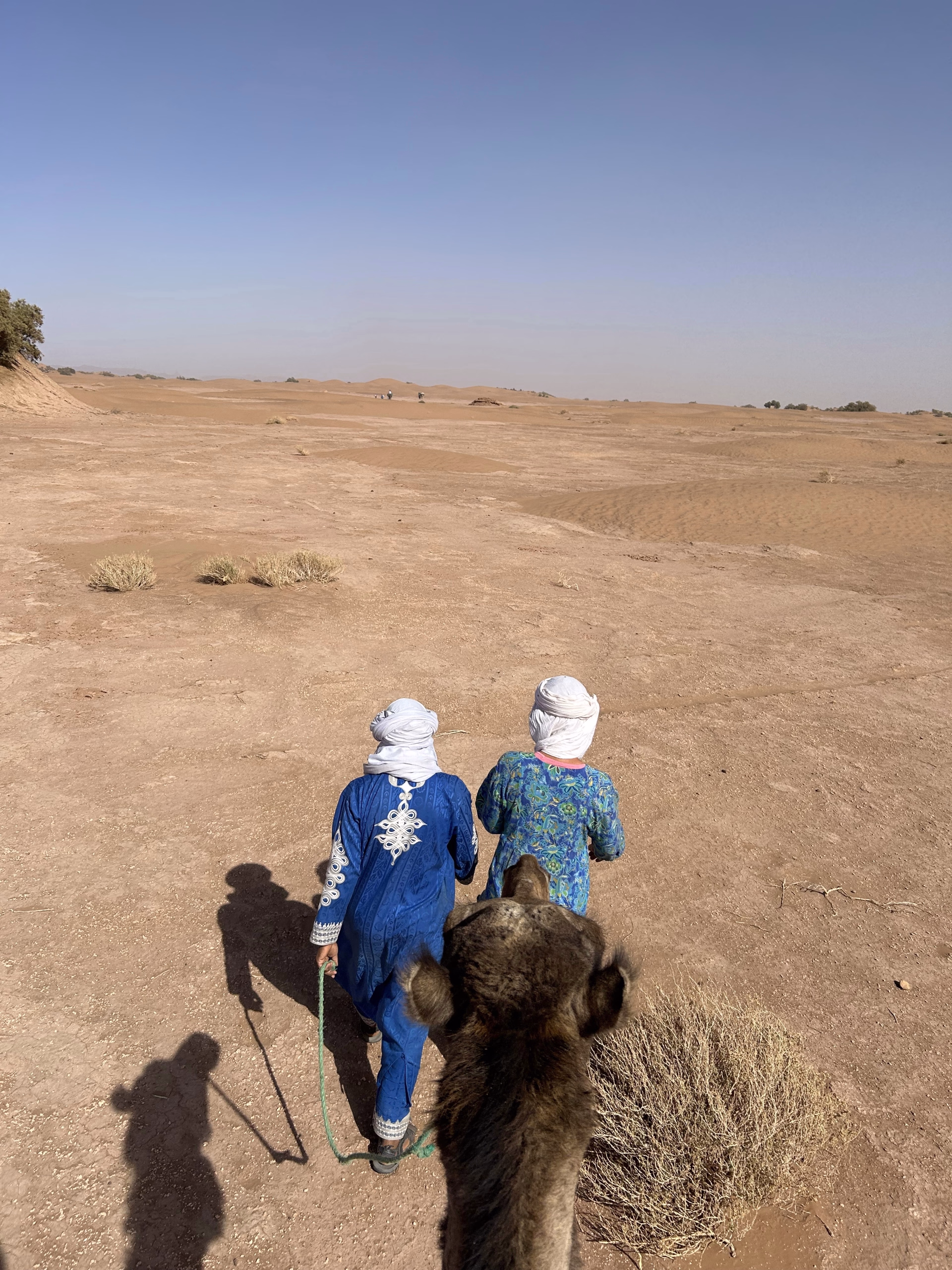 Trek et yoga dans le désert du Sahara