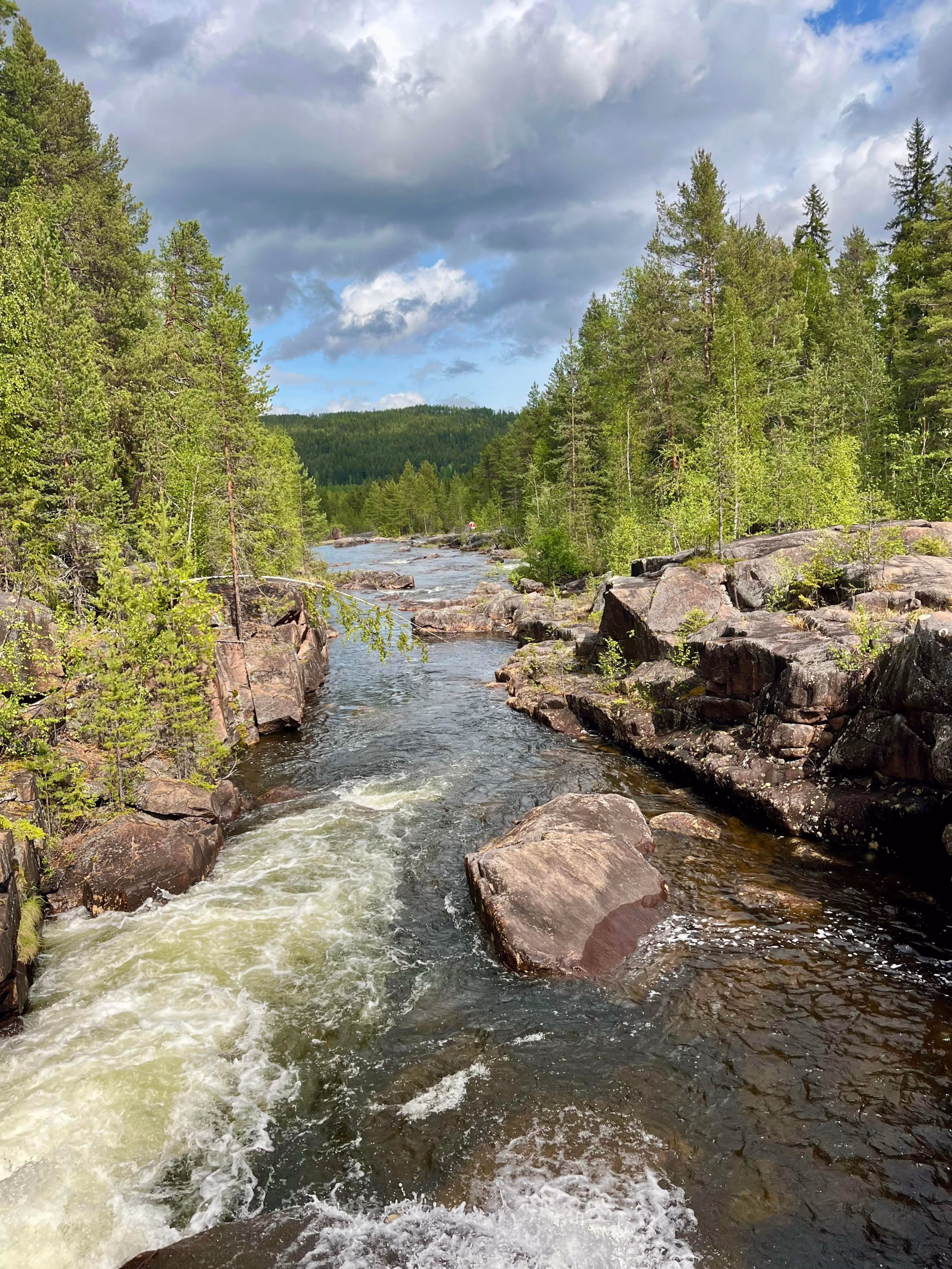 Immersion sauvage en Laponie au Muddus national Park