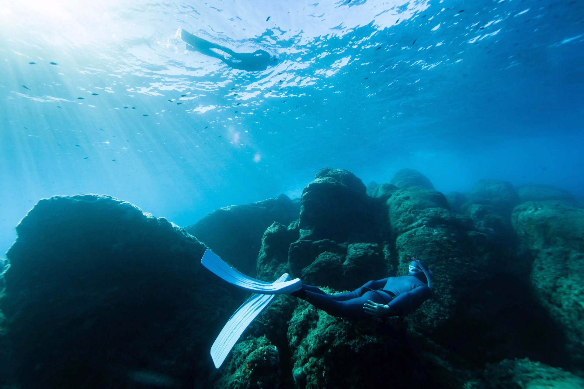 Formation Freediver PADI à Marseille